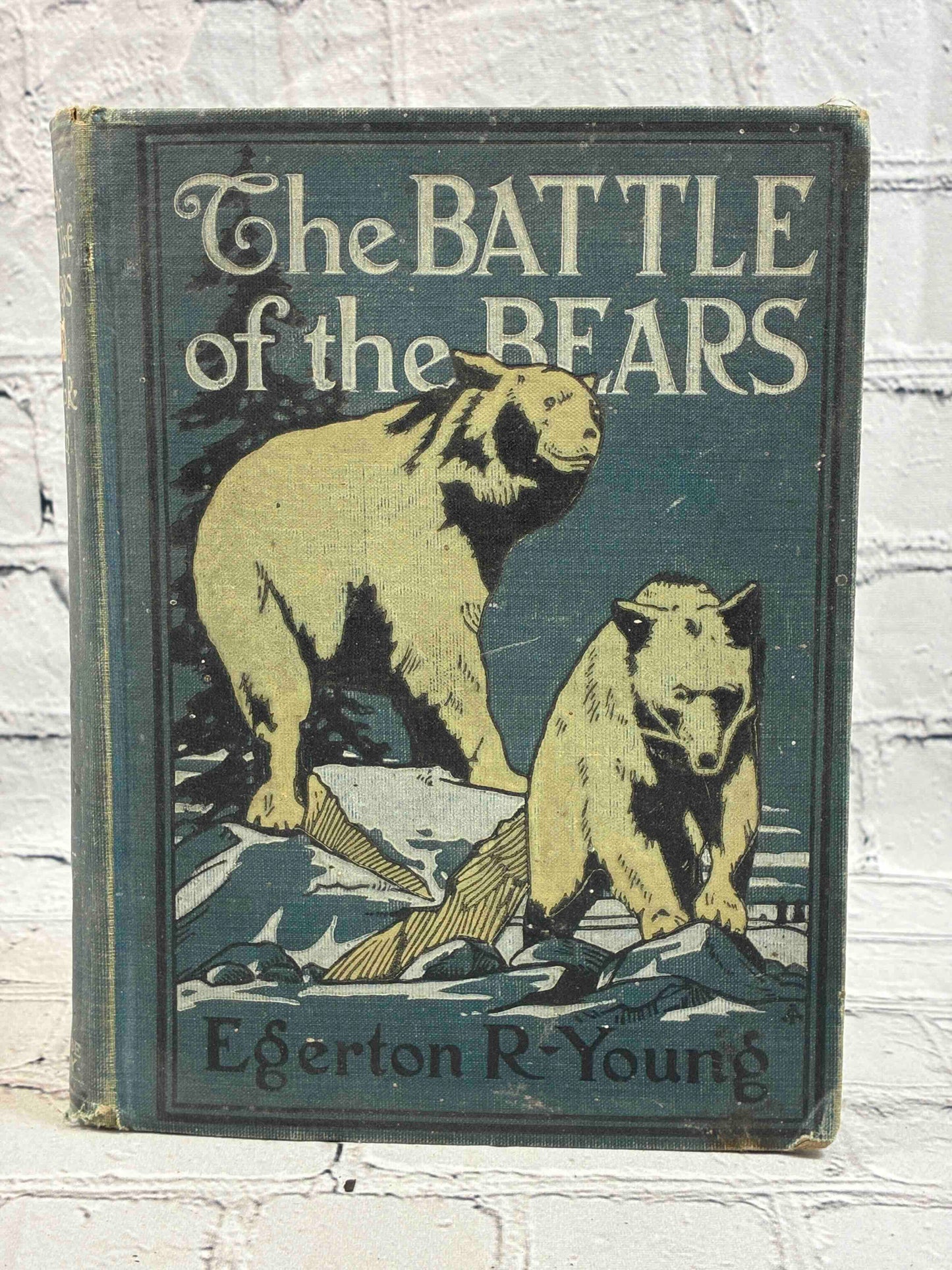 The Battle of the Bears