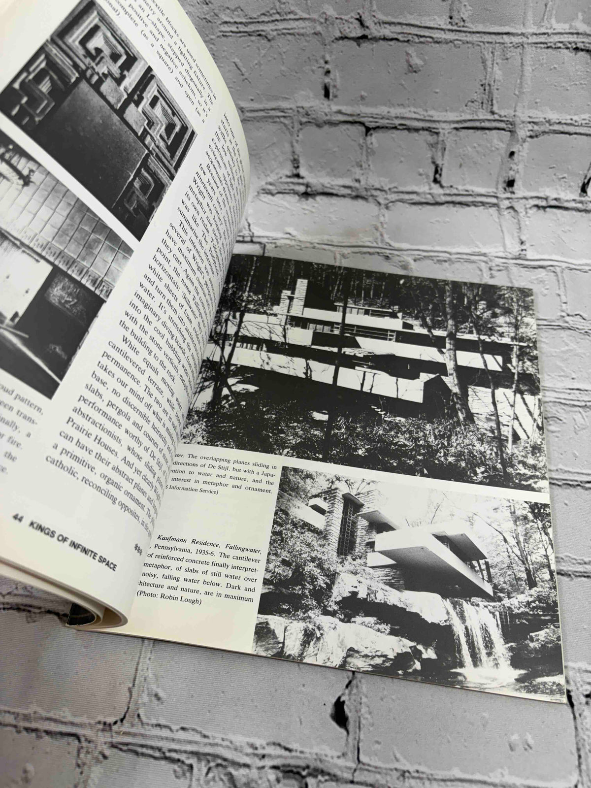 Kings of Infinite Space: Frank Lloyd Wright & Michael Graves