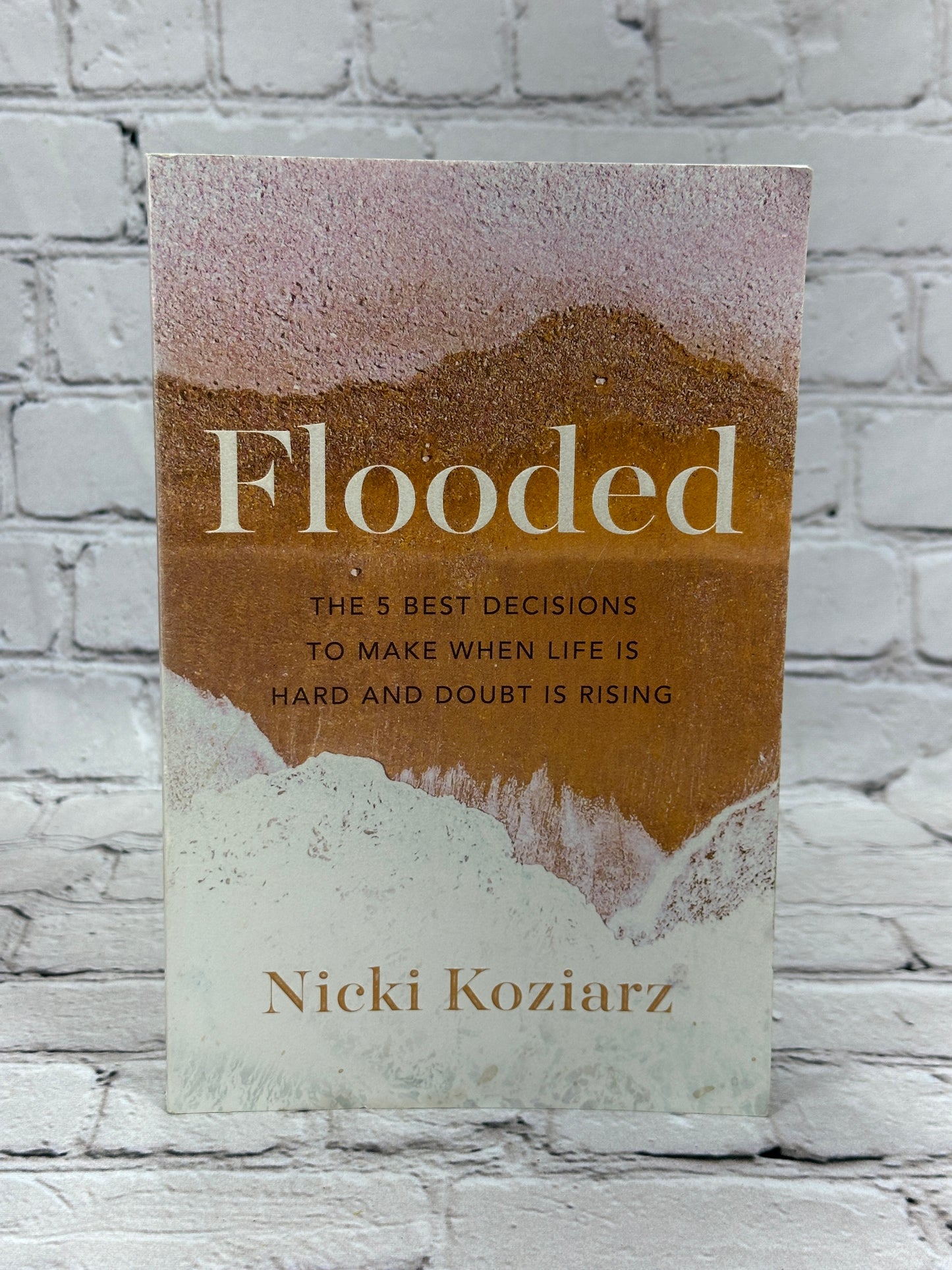 Flooded: The 5 Best Decisions to Make By Nicki Koziarz [2021]