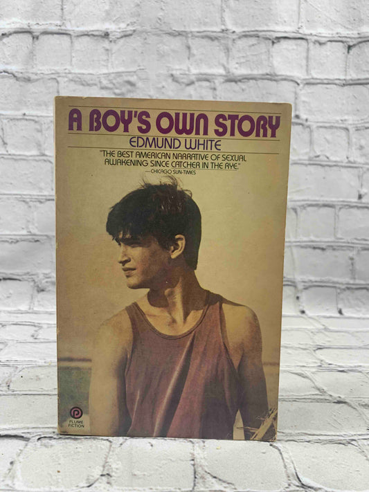 A Boy's Own Story