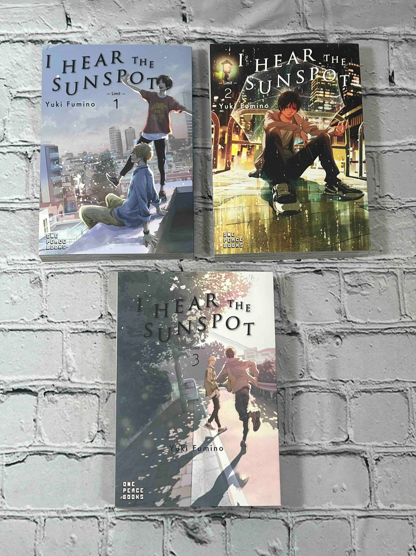 I Hear the Sunspot (Volumes 6 Volumes)