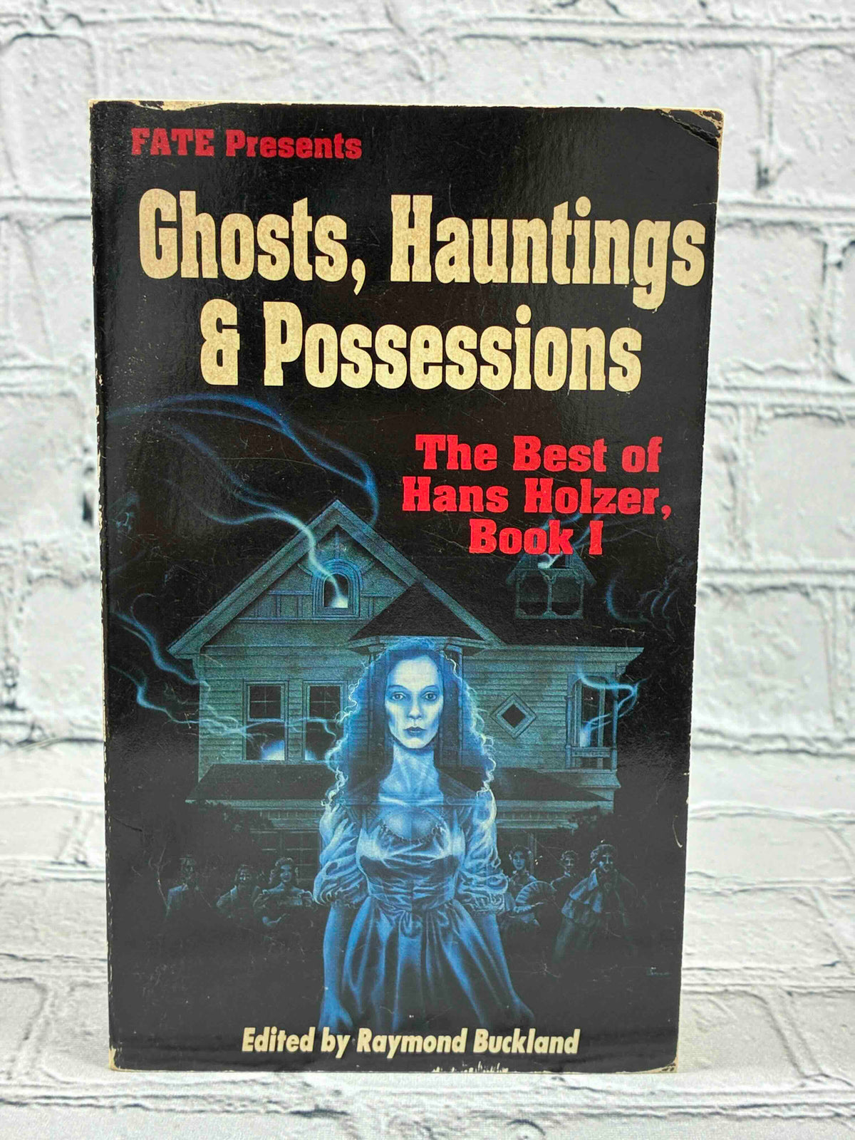 Ghosts, Hauntings and Possessions: The Best of Hans Holzer, Book 1