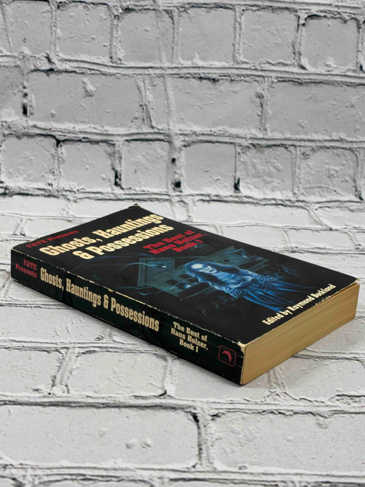 Ghosts, Hauntings and Possessions: The Best of Hans Holzer, Book 1