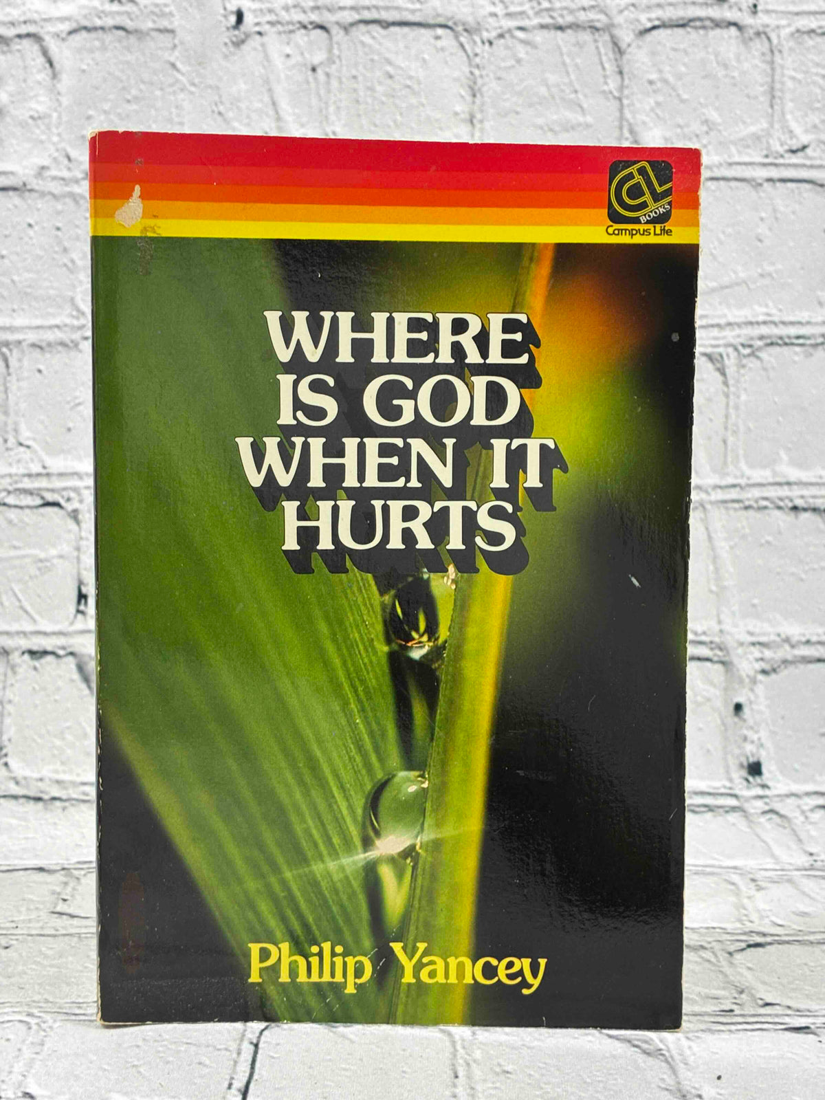 Where is God When it Hurts