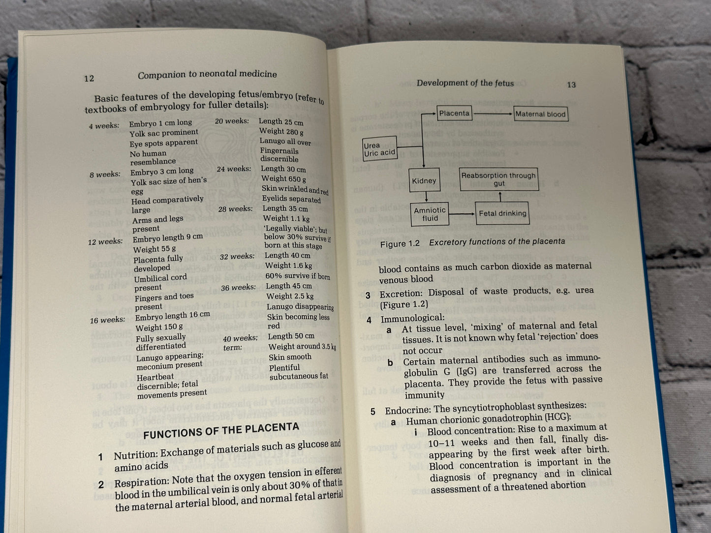 Companion to Neonatal Medicine by Victor Daniels & Christopher Huang [1982]