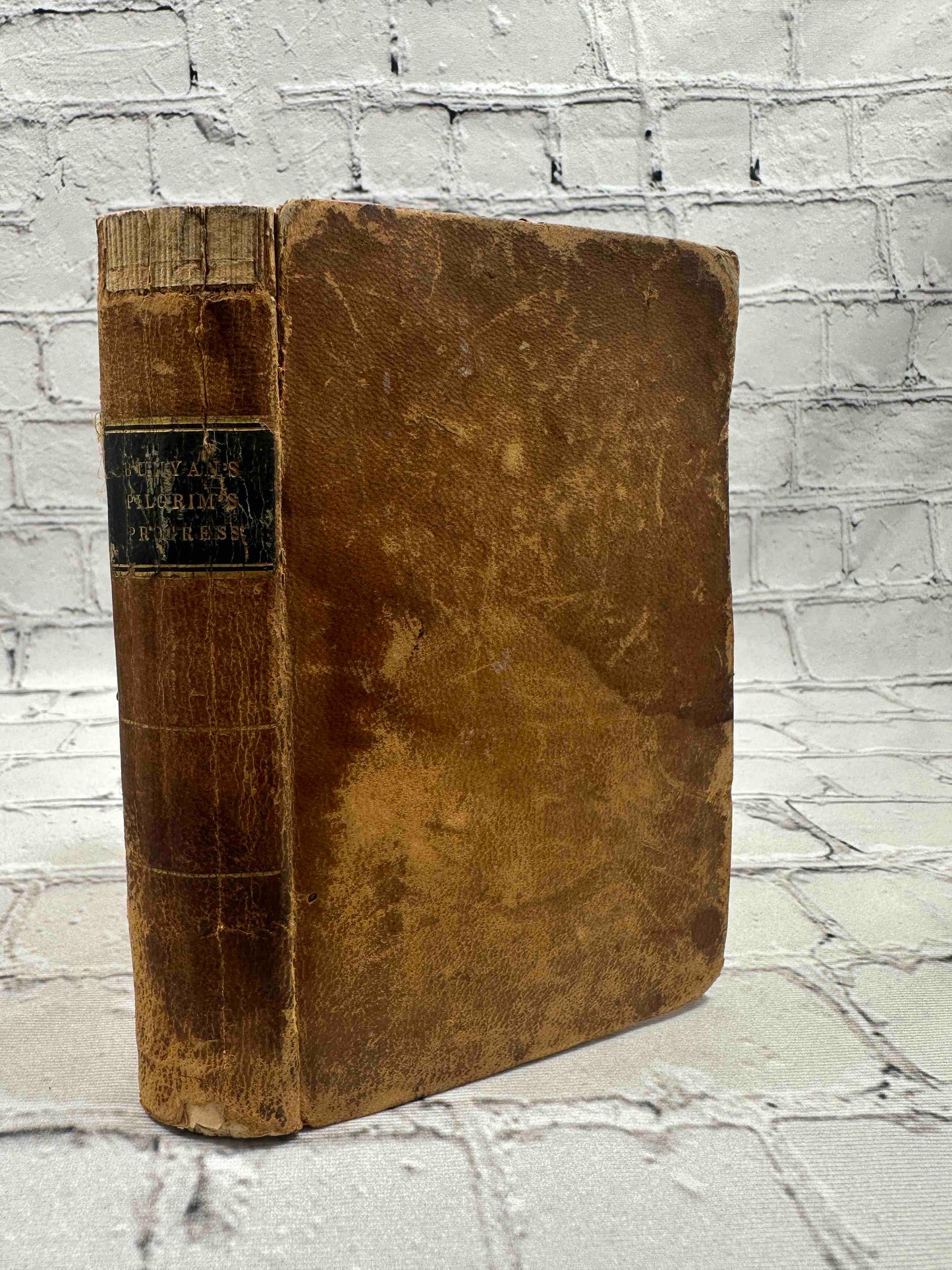 The Pilgrim's Progress