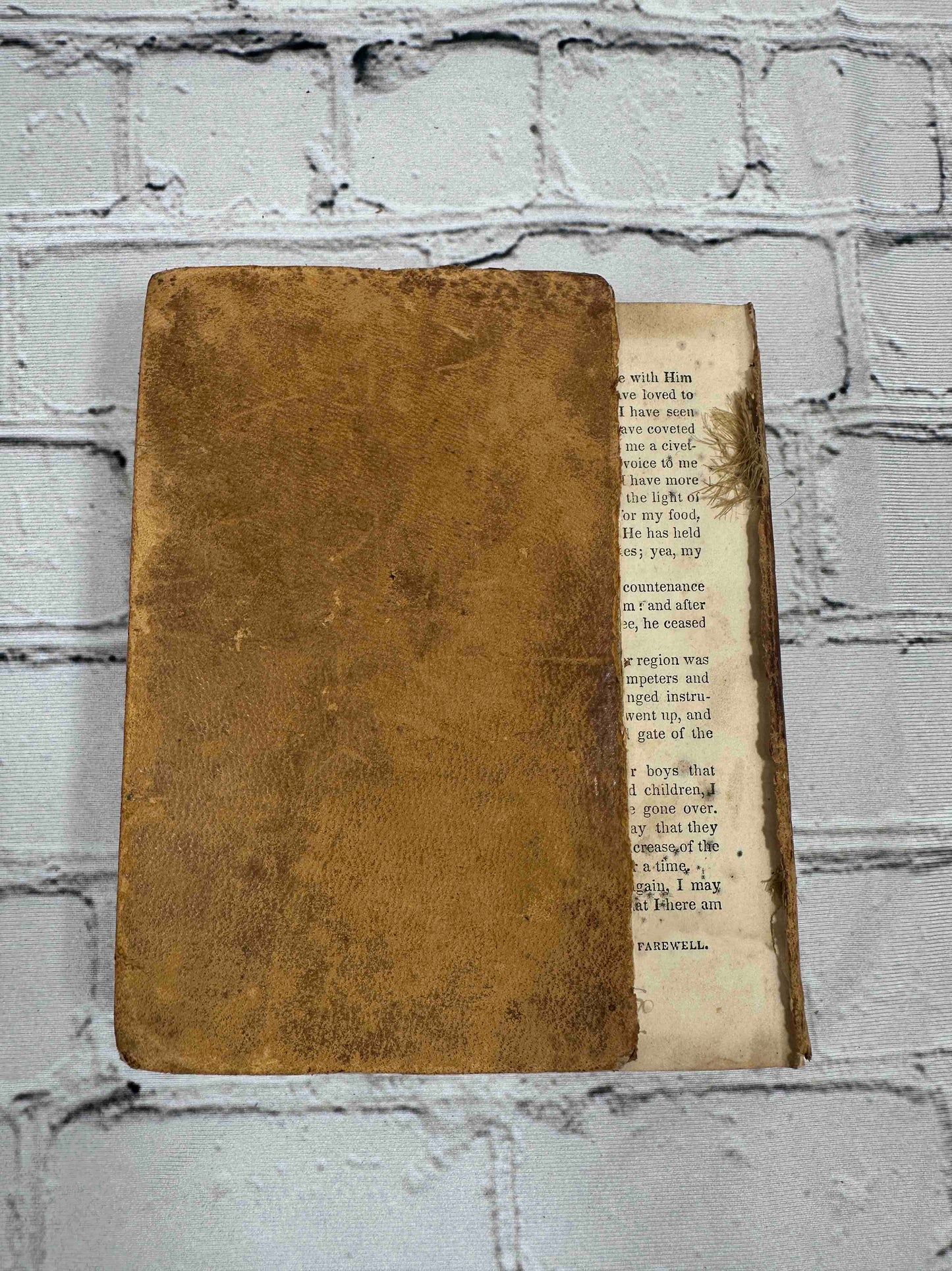 The Pilgrim's Progress