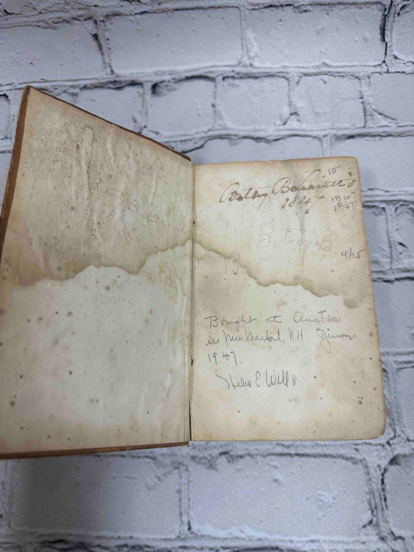 The Pilgrim's Progress