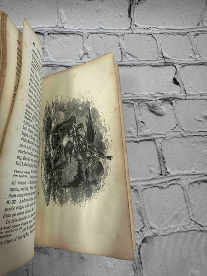 The Pilgrim's Progress