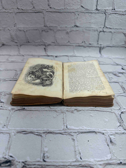 The Pilgrim's Progress