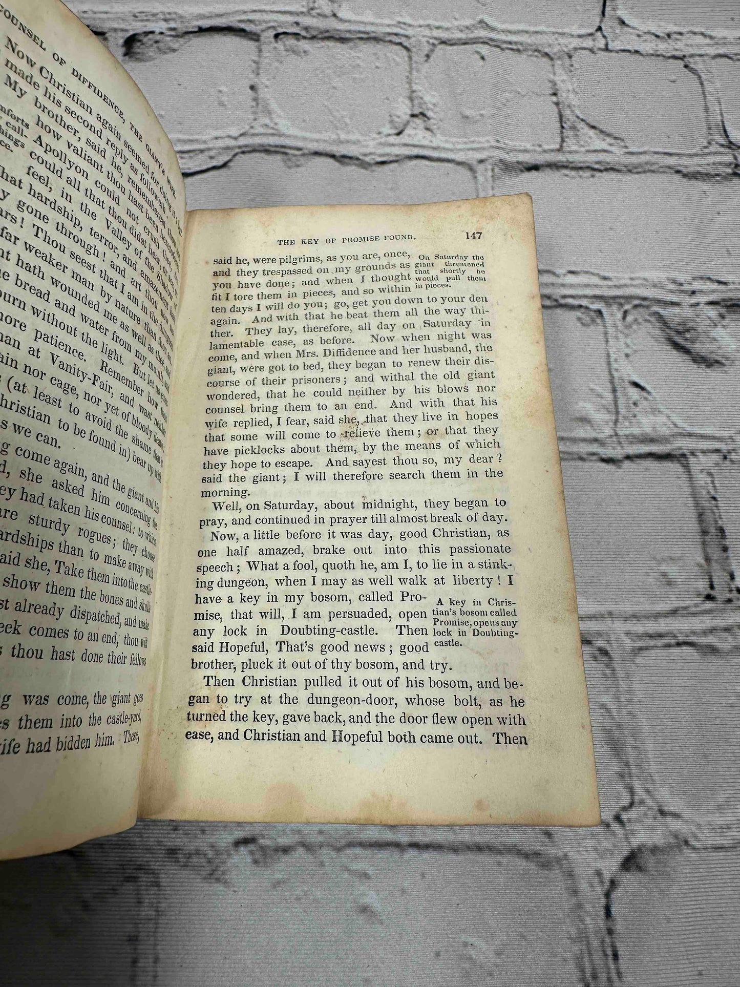 The Pilgrim's Progress