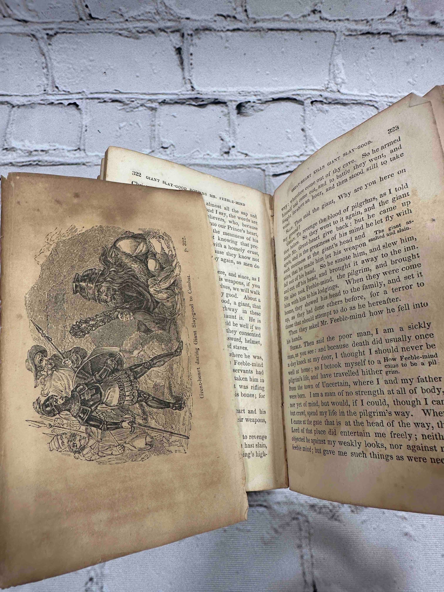 The Pilgrim's Progress