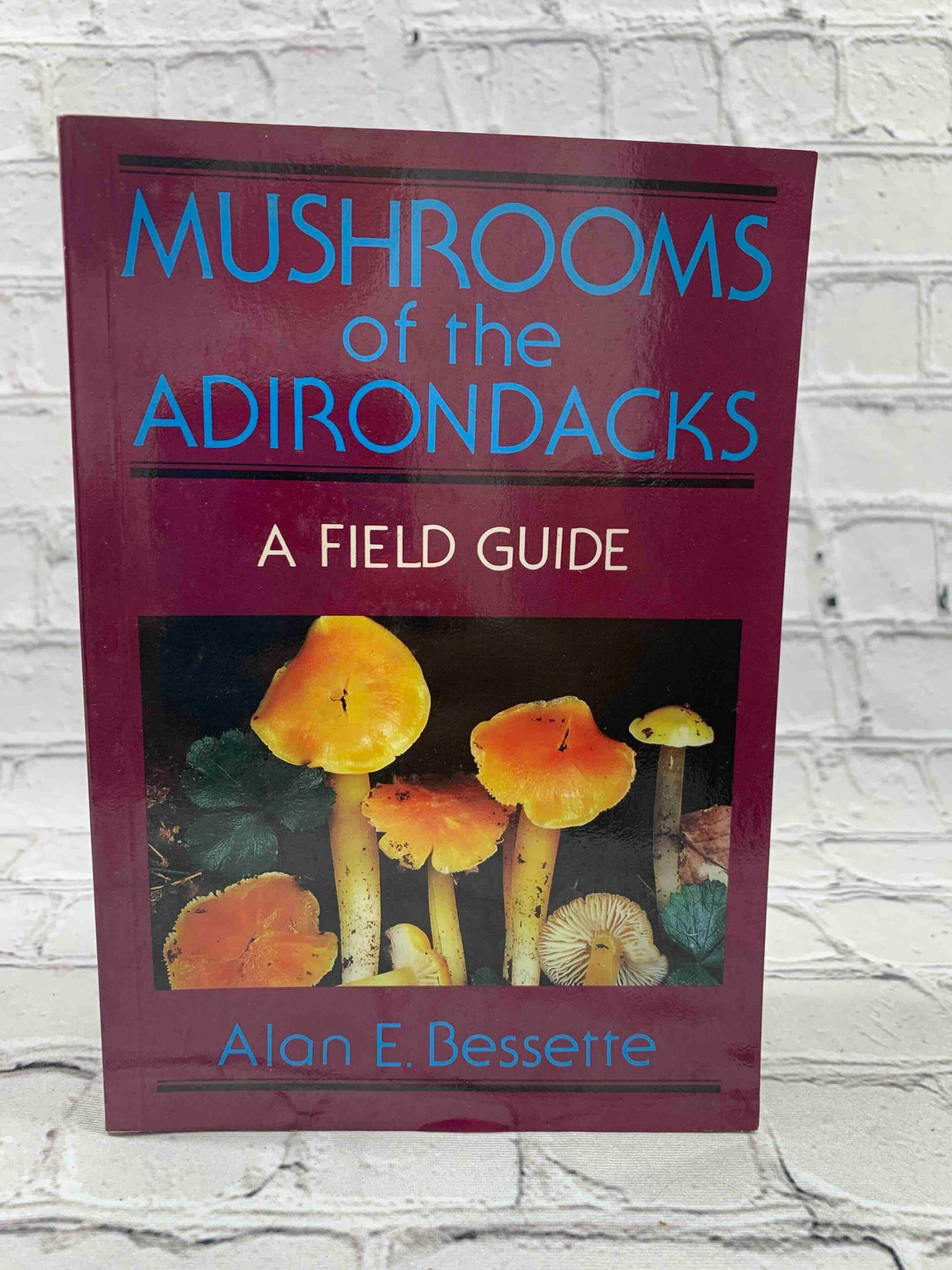 Mushrooms of the Adirondacks: A Field Guide