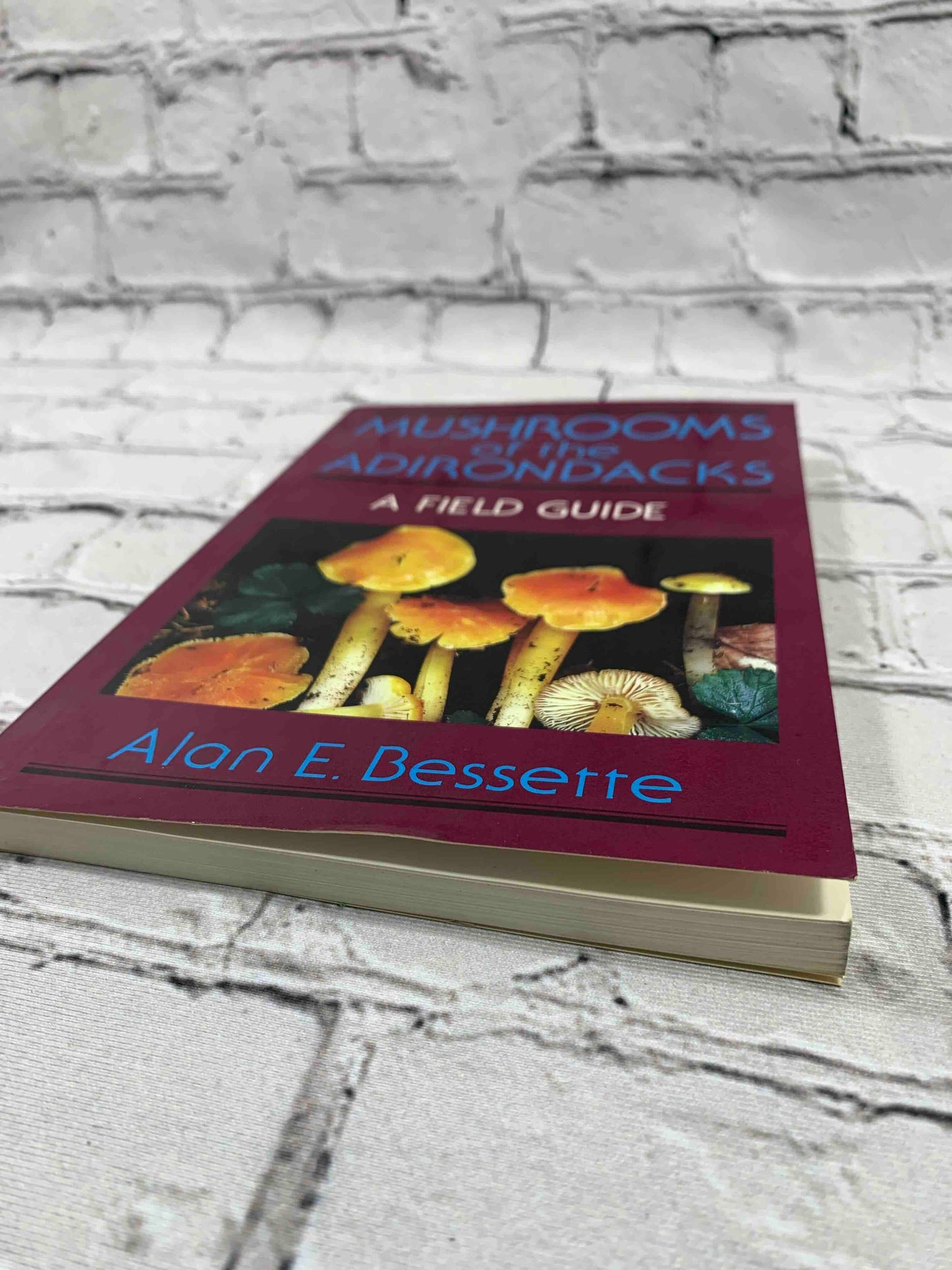 Mushrooms of the Adirondacks: A Field Guide