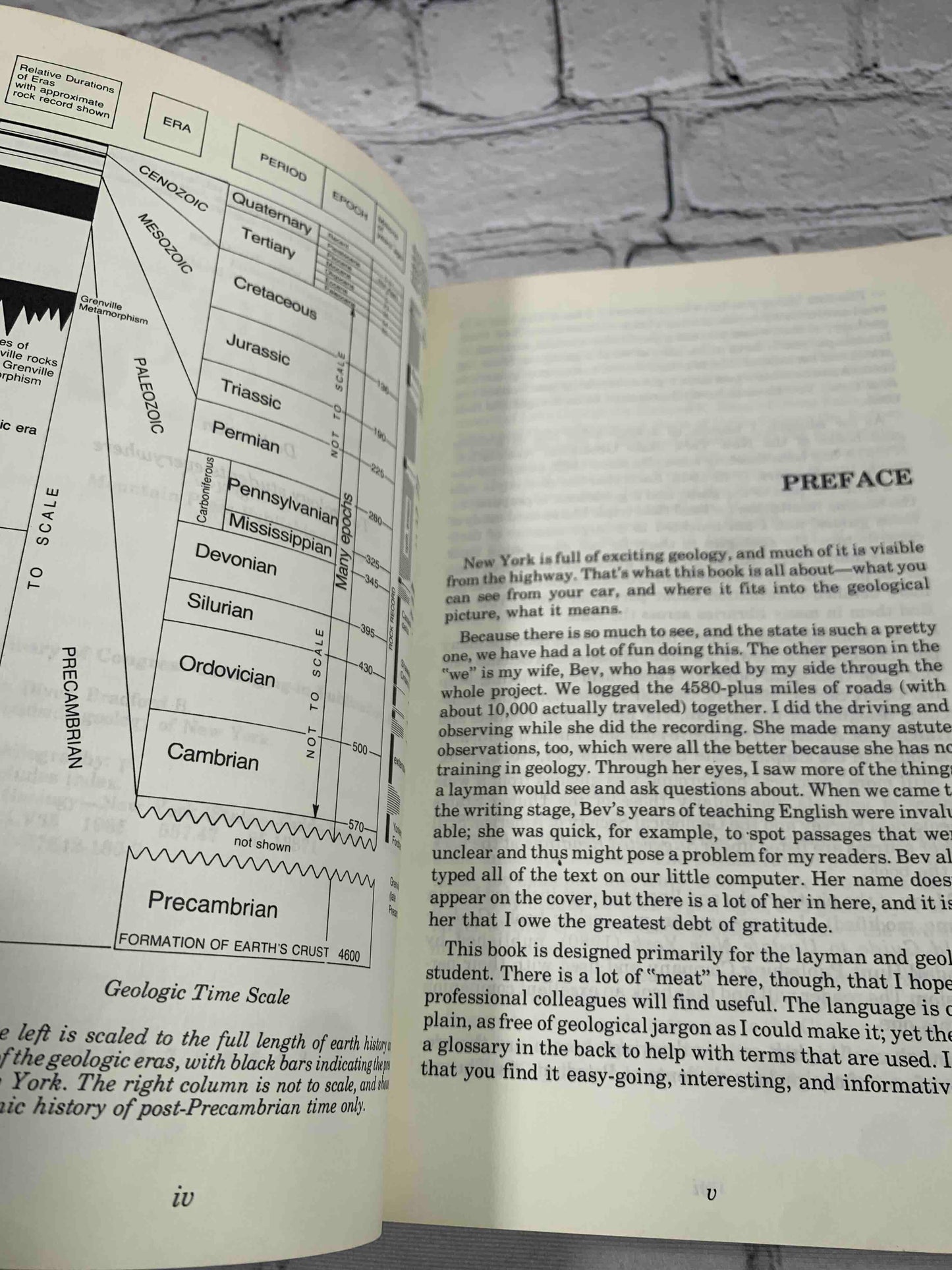 Roadside Geology of New York (Roadside Geology Series)
