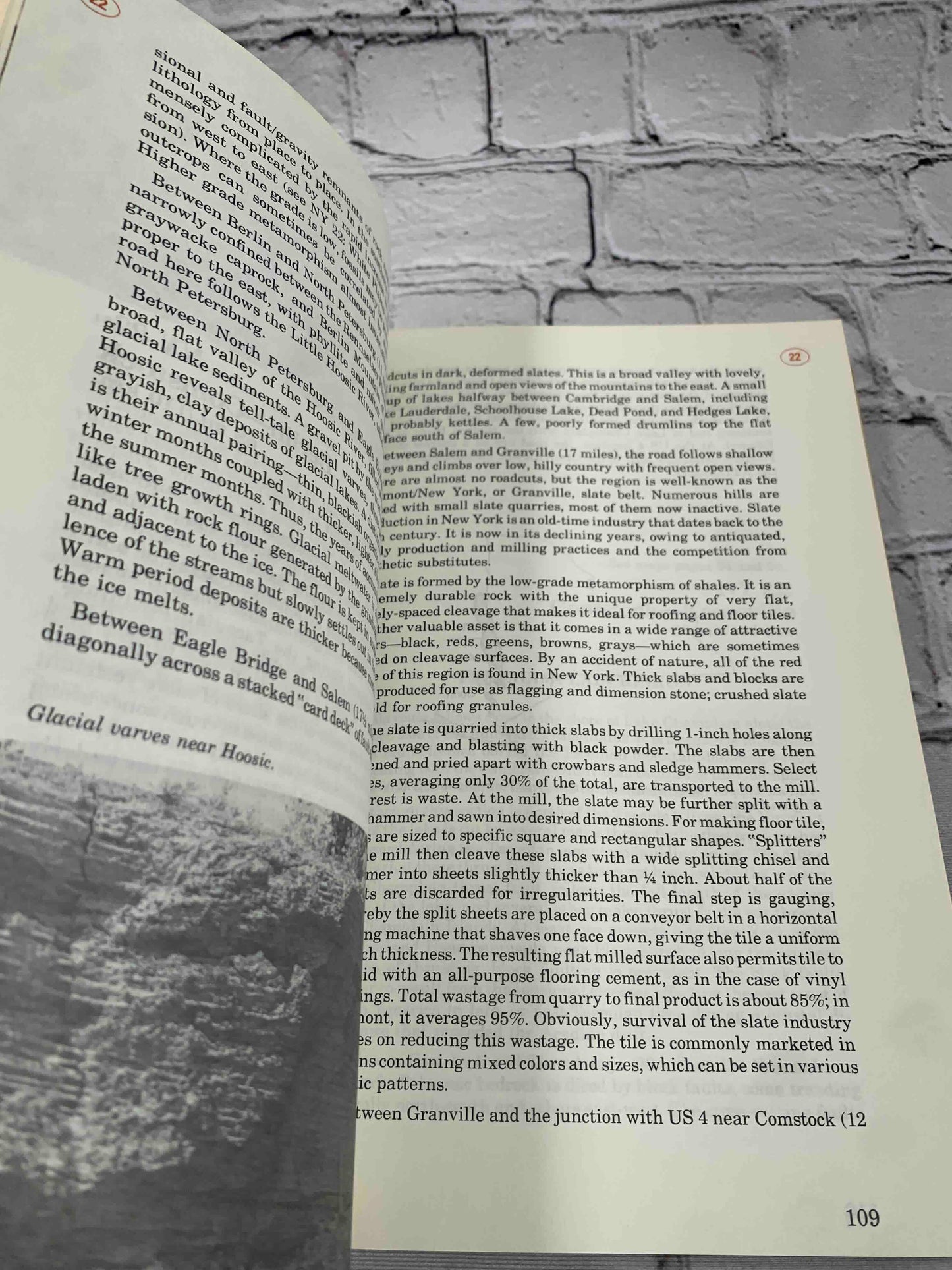 Roadside Geology of New York (Roadside Geology Series)
