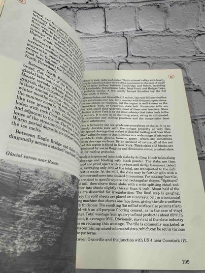 Roadside Geology of New York (Roadside Geology Series)