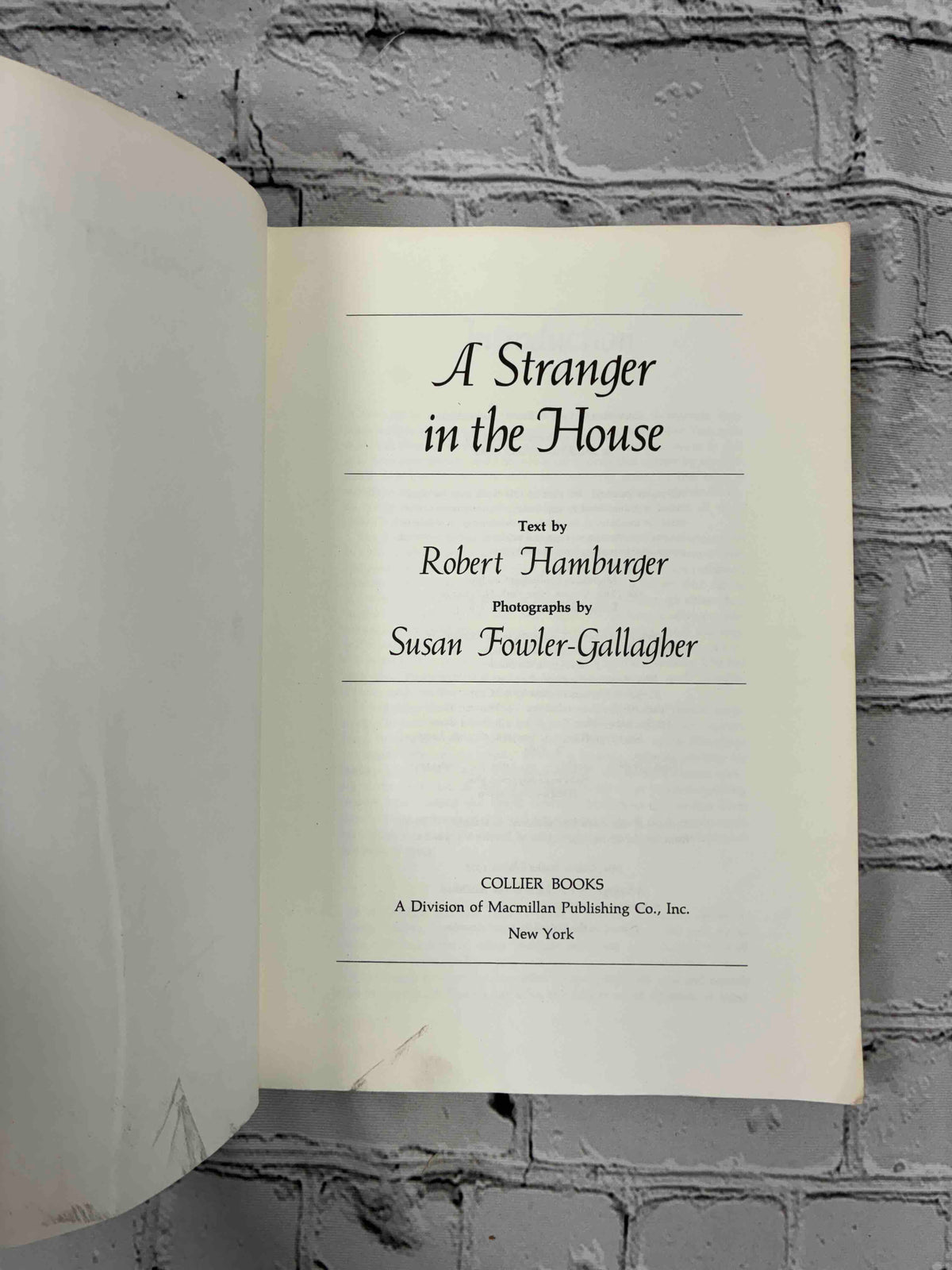 A Stranger in the House