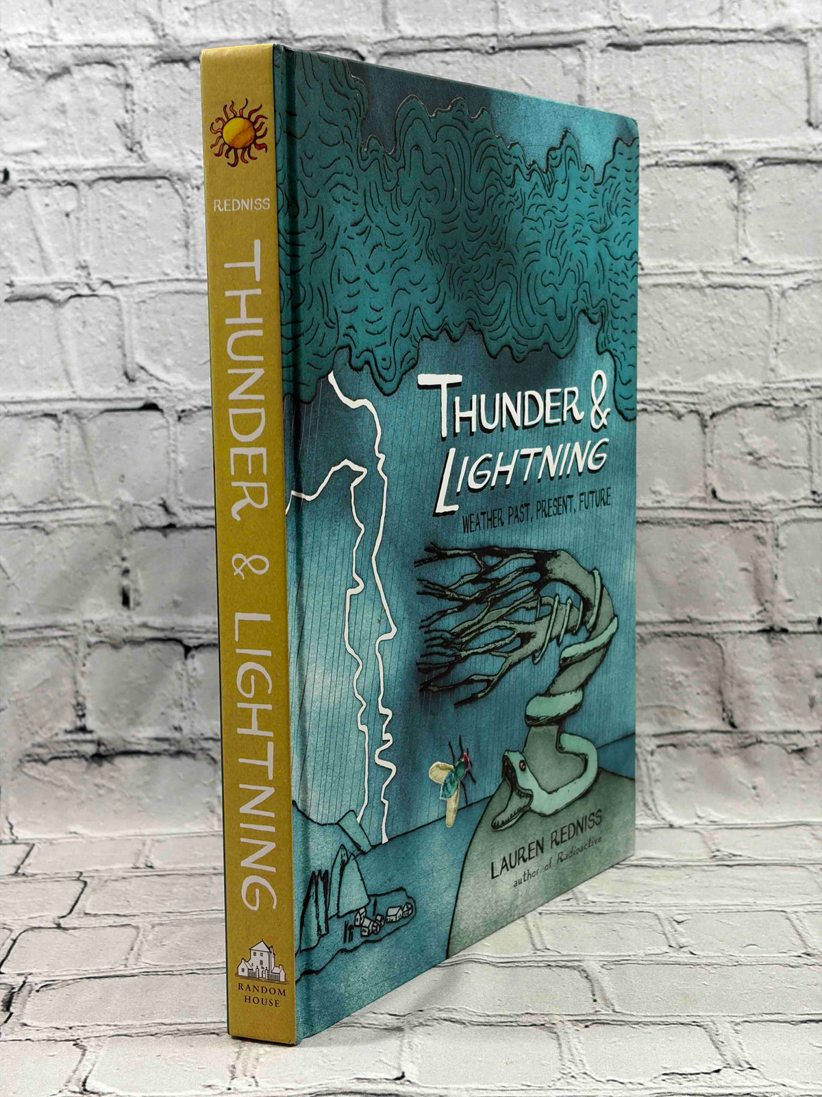 Thunder & Lightning: Weather Past, Present, Future