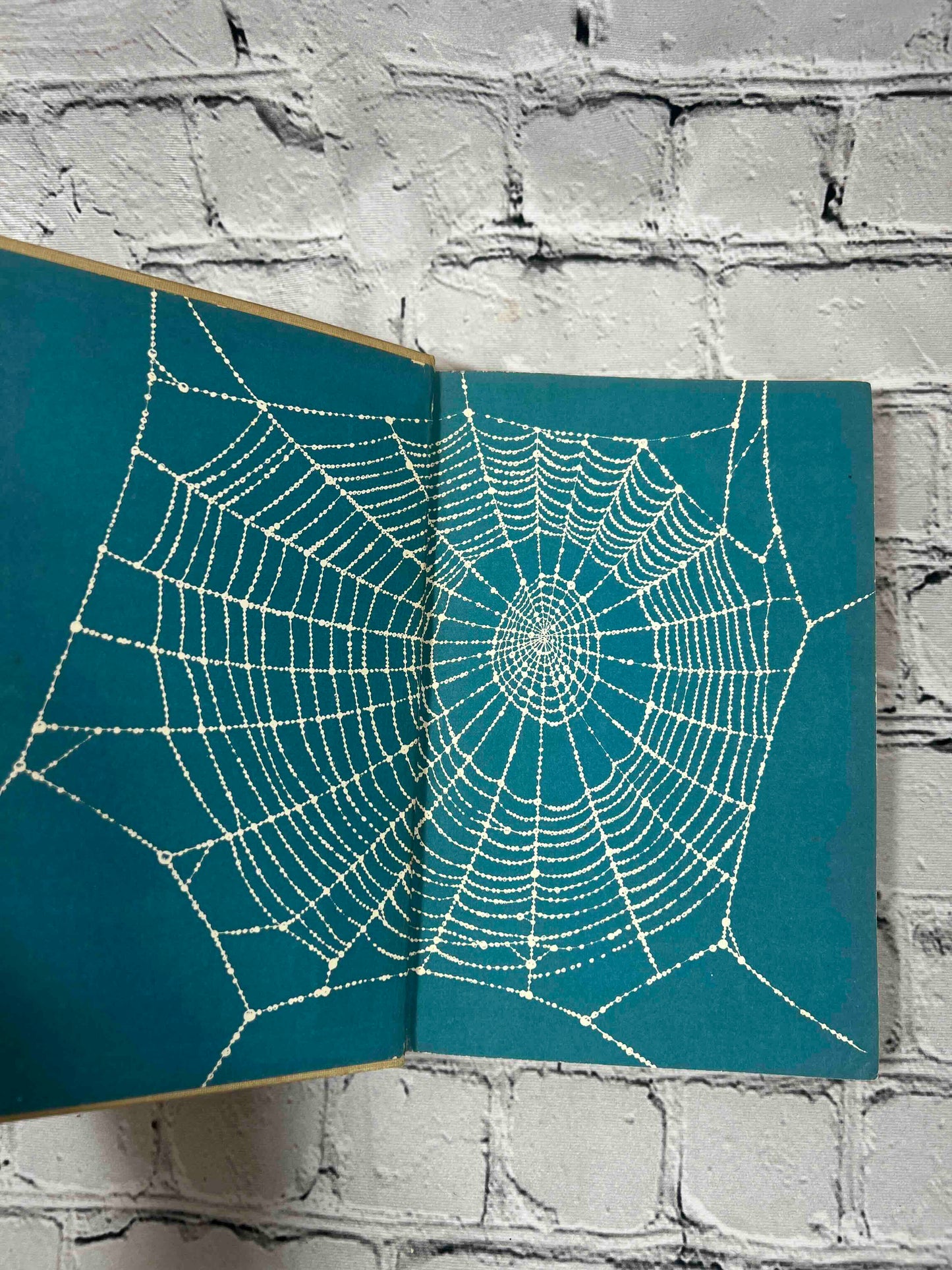 Charlotte's Web