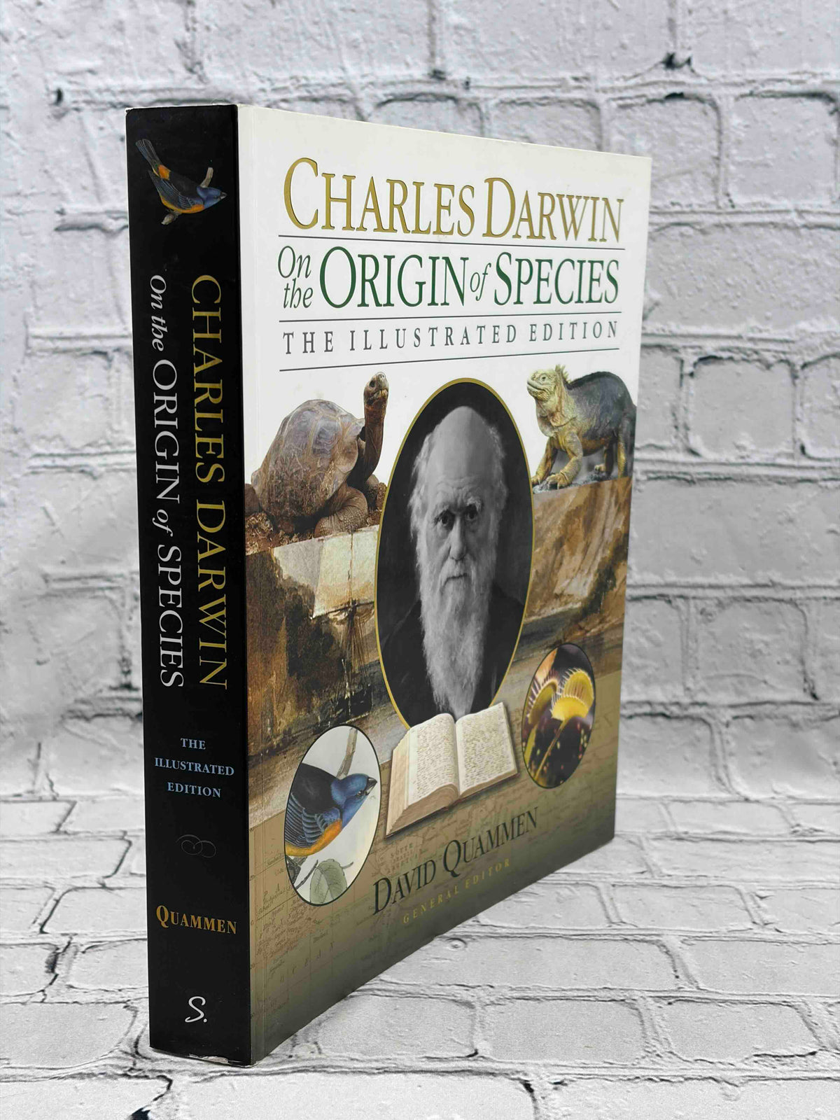 On the Origin of Species: The Illustrated Edition