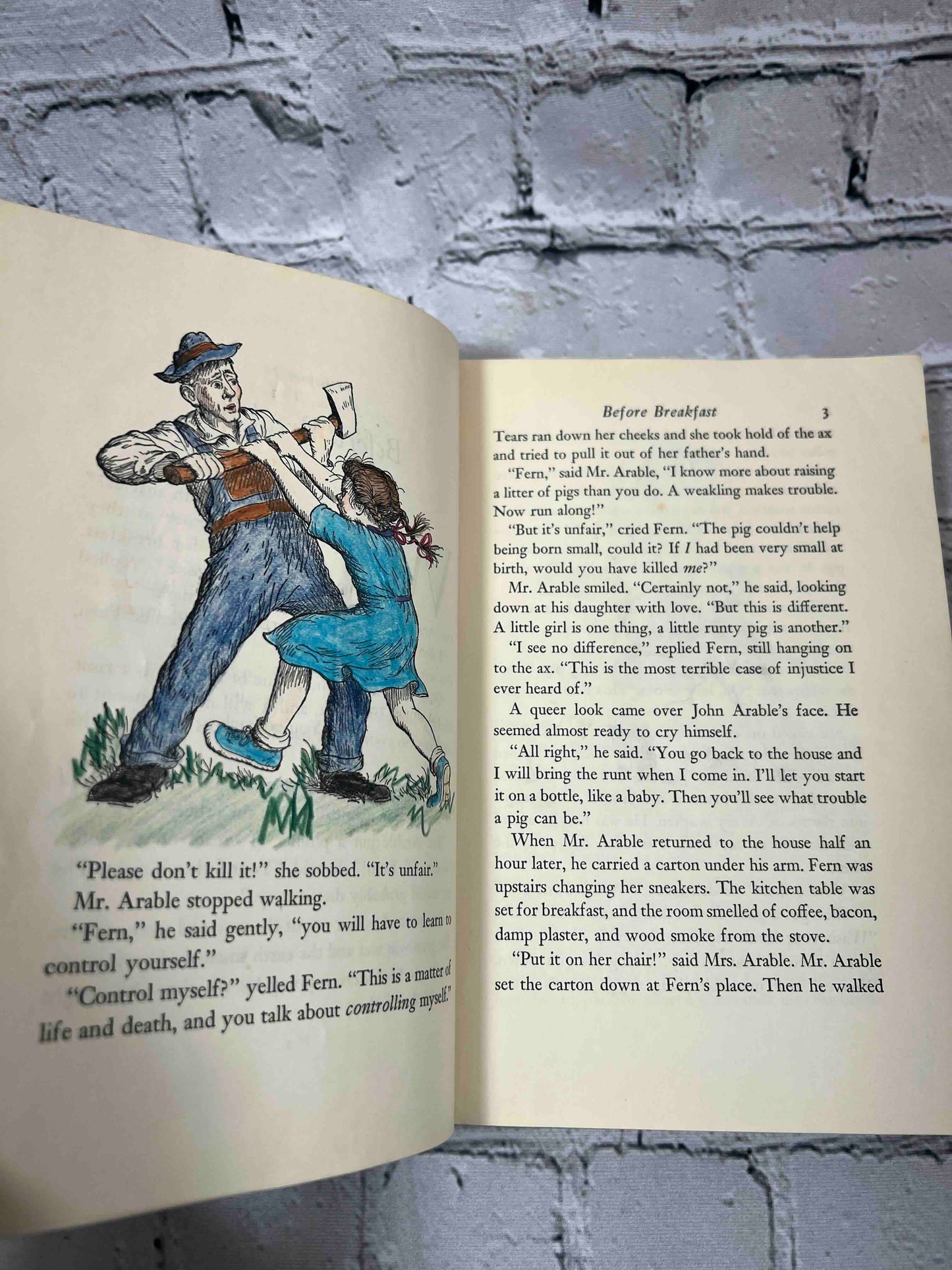Charlotte's Web