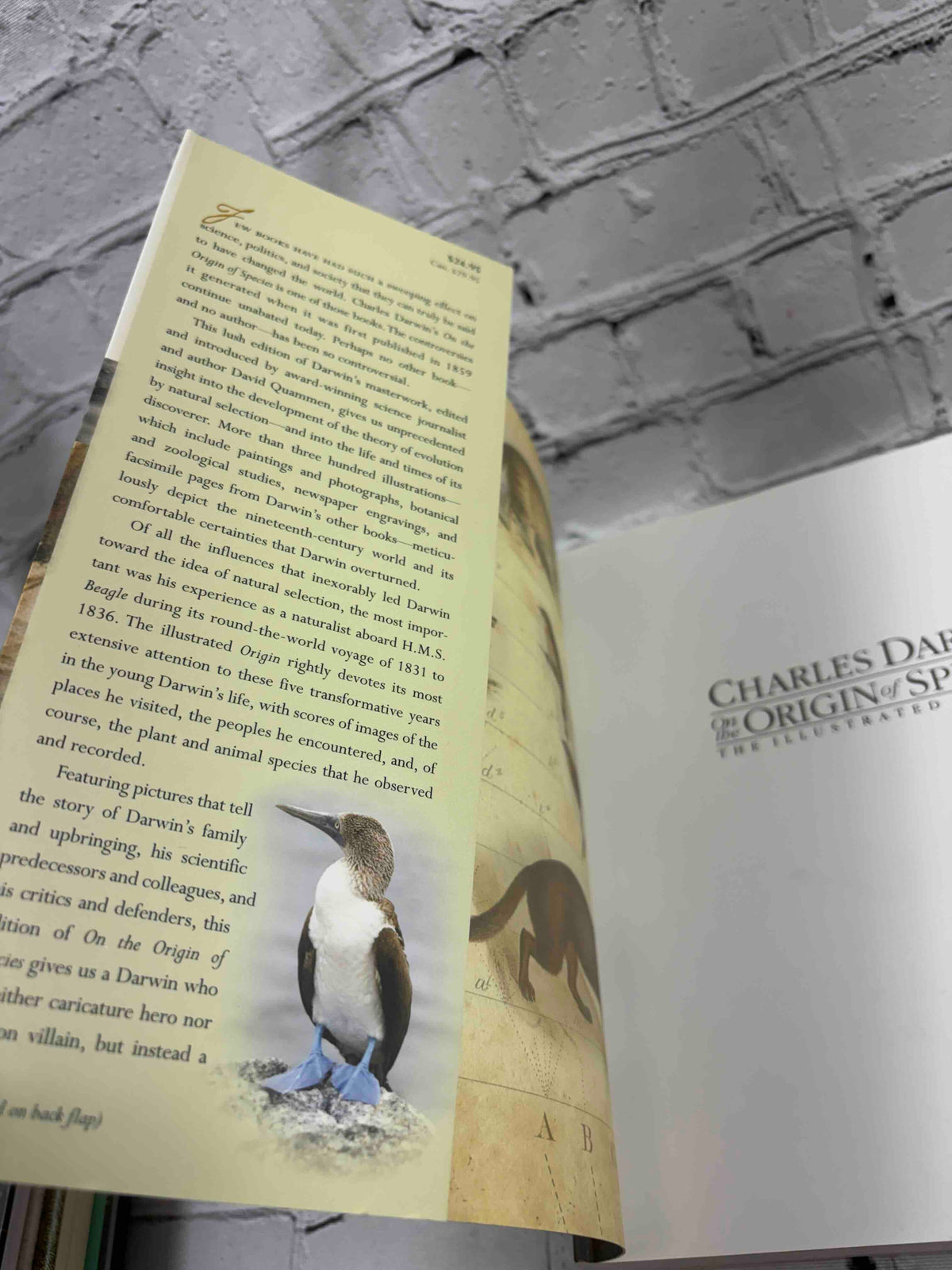 On the Origin of Species: The Illustrated Edition