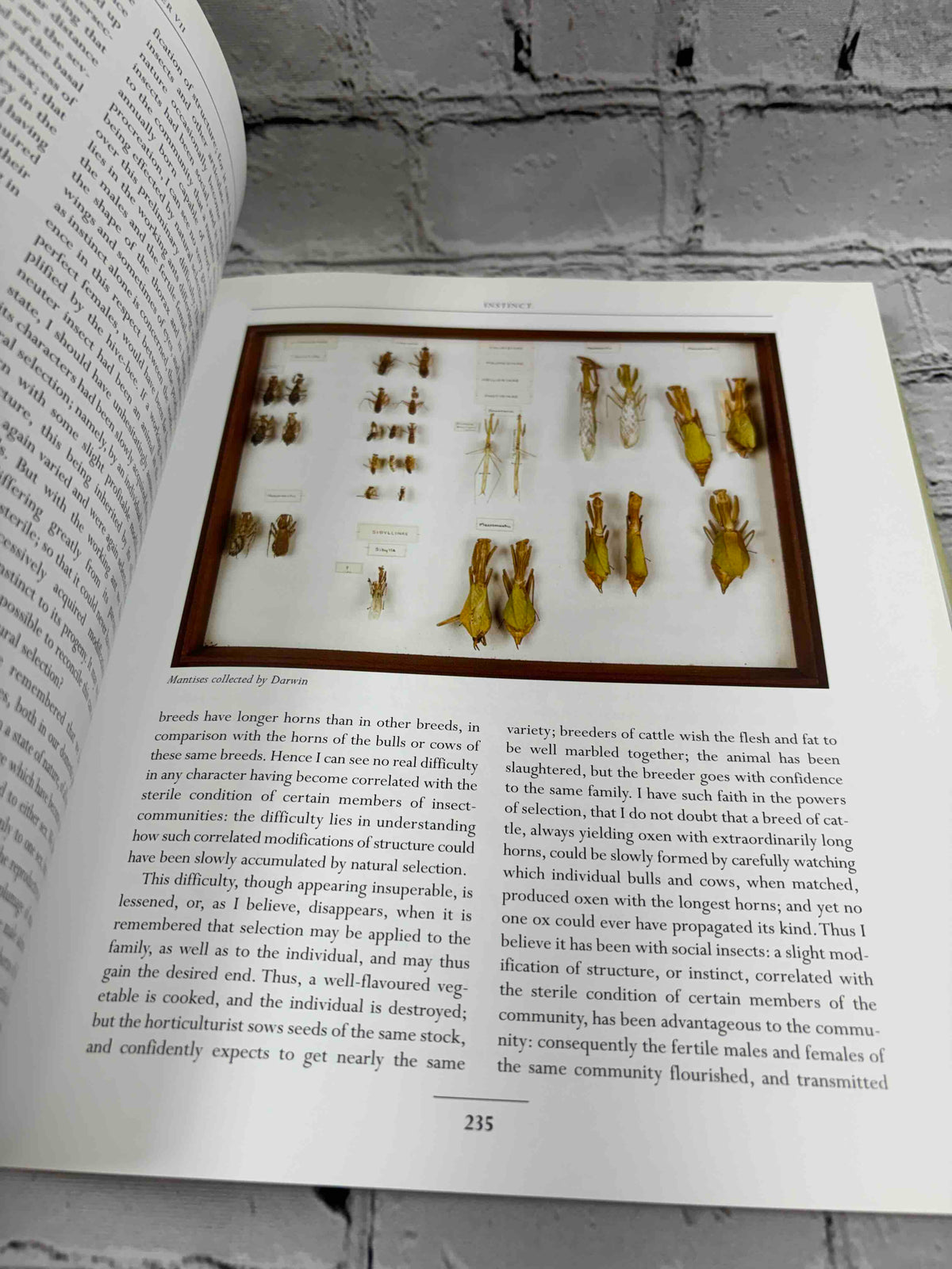 On the Origin of Species: The Illustrated Edition