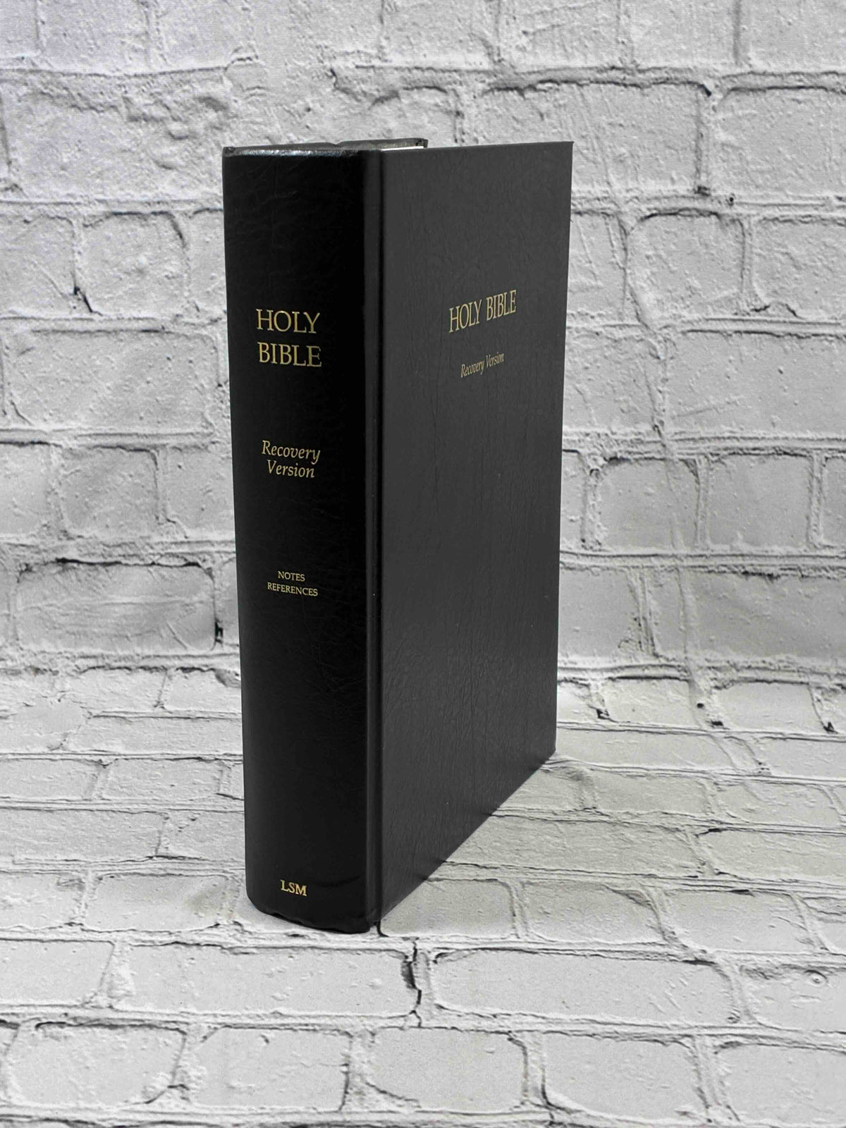 Holy Bible Recovery Version