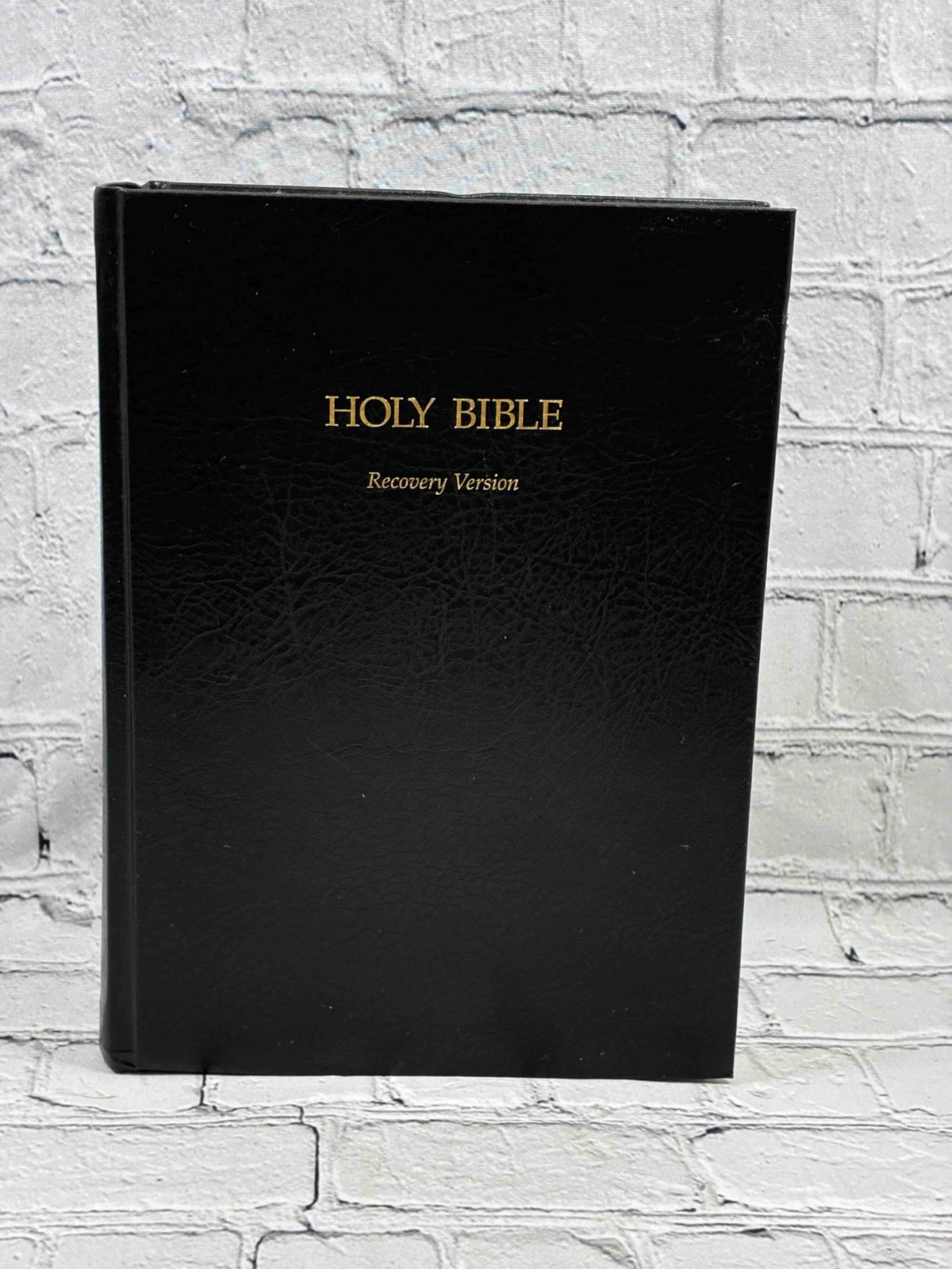 Holy Bible Recovery Version