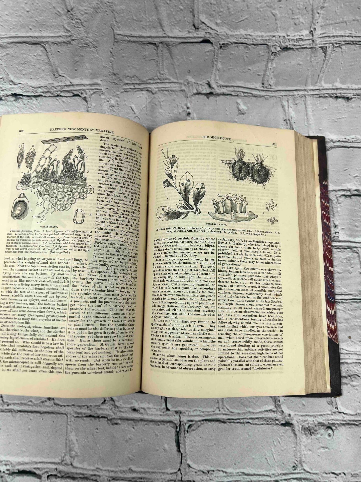 Harper Magazine Volume 52 (December 1875 - May 1876)