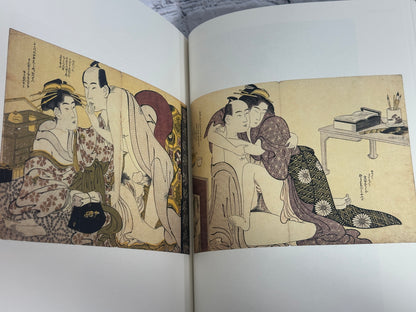 Poem Of The Pillow And Other Stories by Gian Carlo Calza  [1st Edition · 2010]