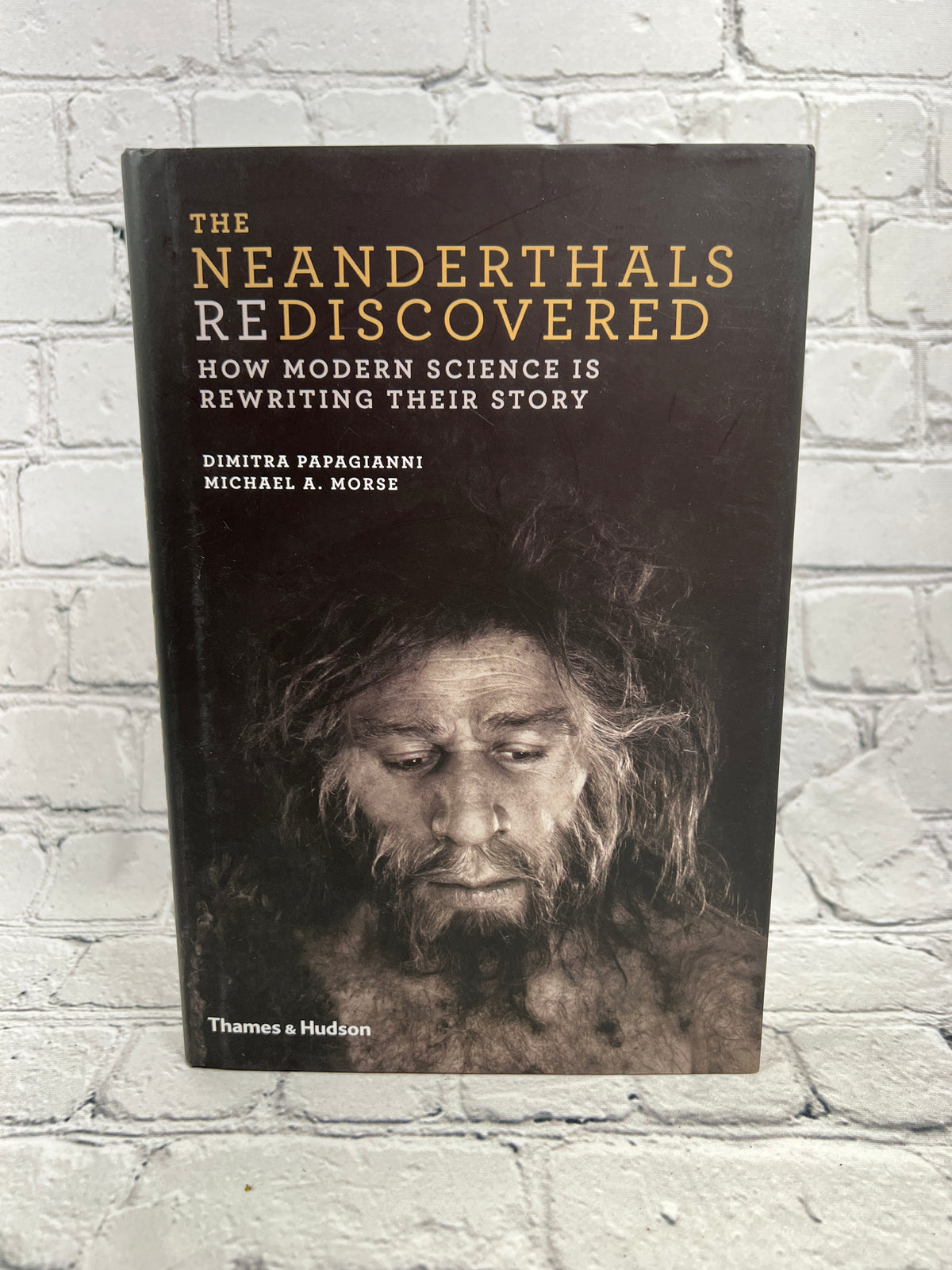 Neanderthals Rediscovered by Papagianni and Morse, 2013 Thames & Hudson hardcover - front cover