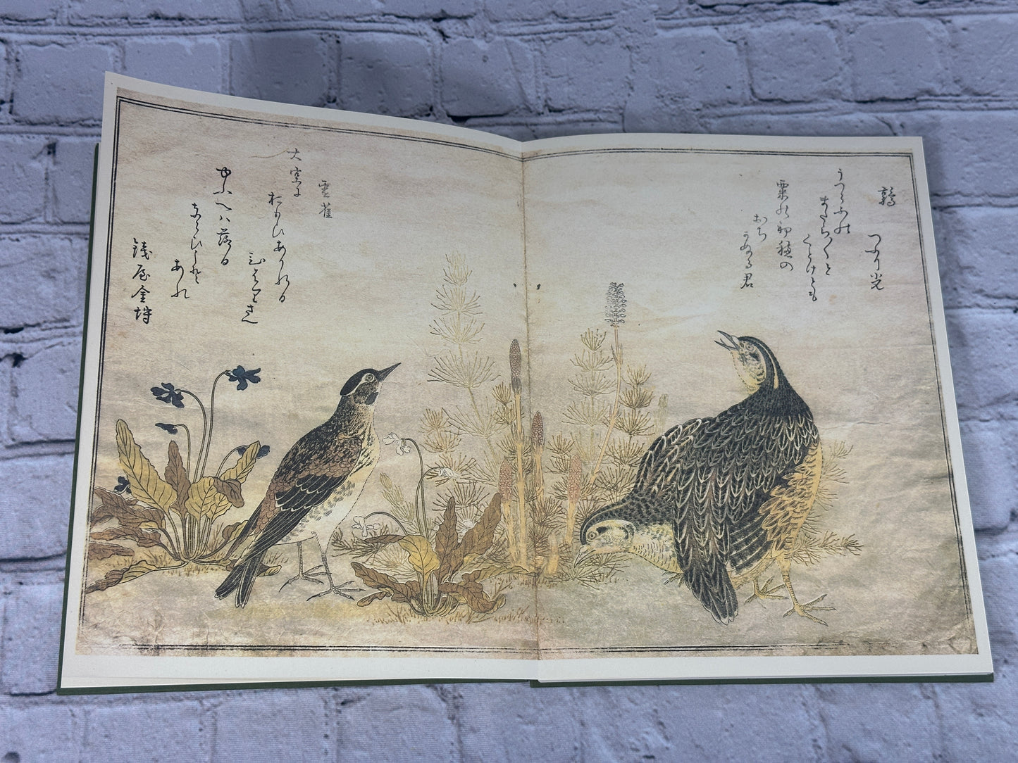 Utamaro A Chorus of Birds [Metropolitan Museum of Art · 1981]