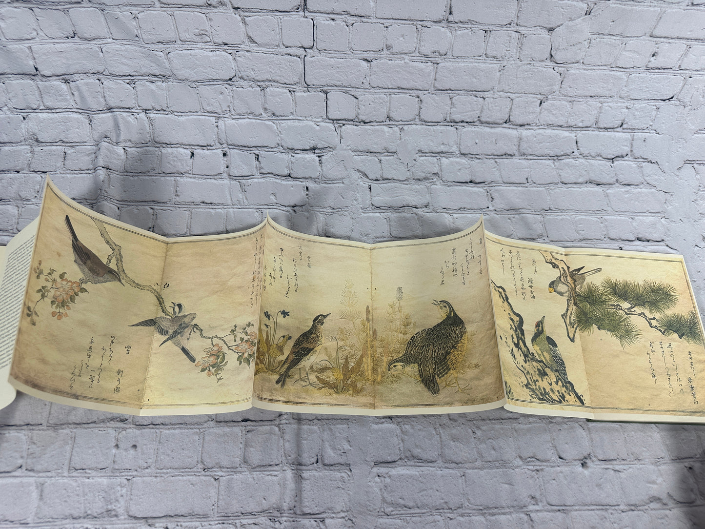 Utamaro A Chorus of Birds [Metropolitan Museum of Art · 1981]