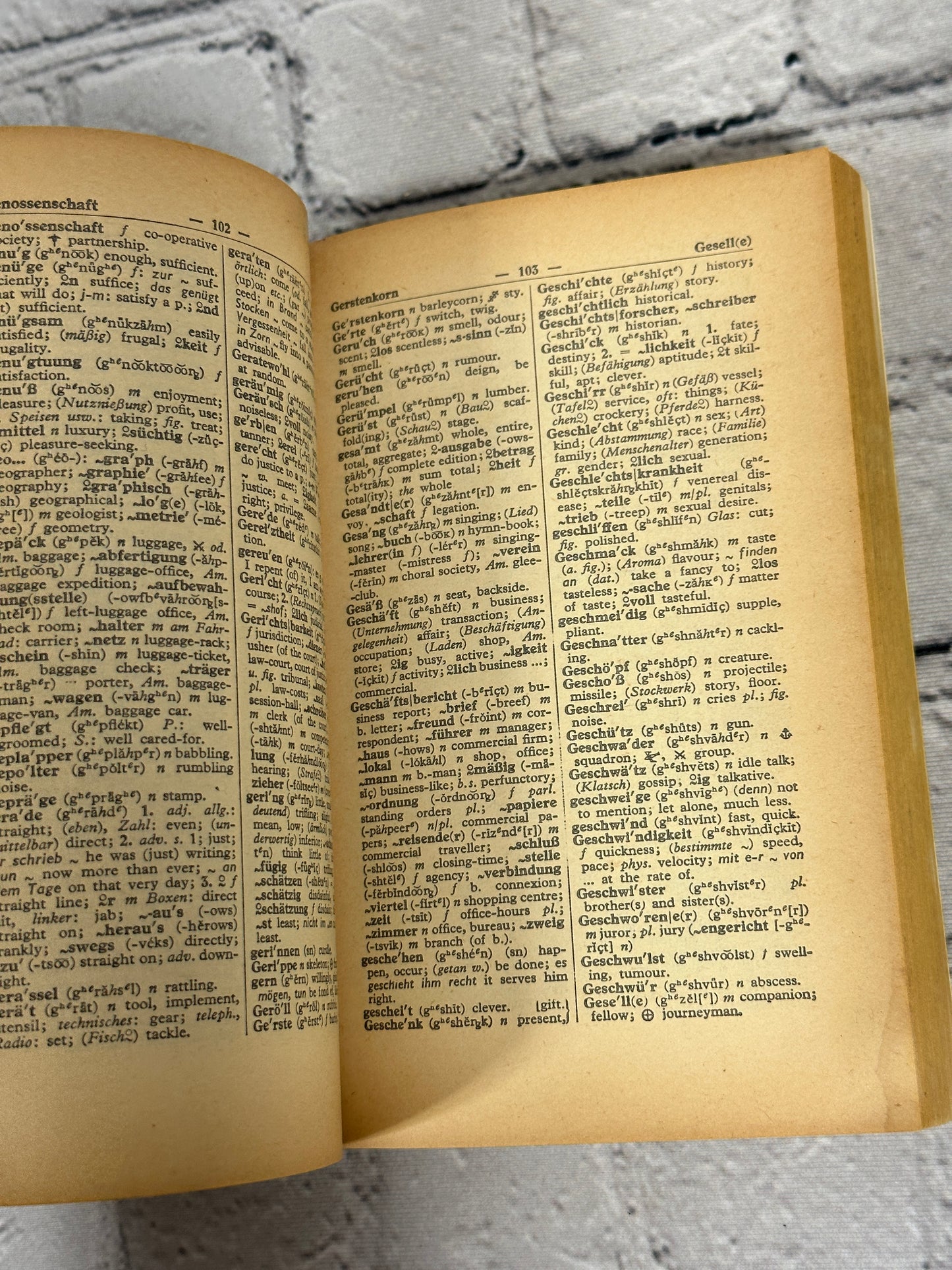 Langenscheidt's German-English English - German Dictionary [1961]