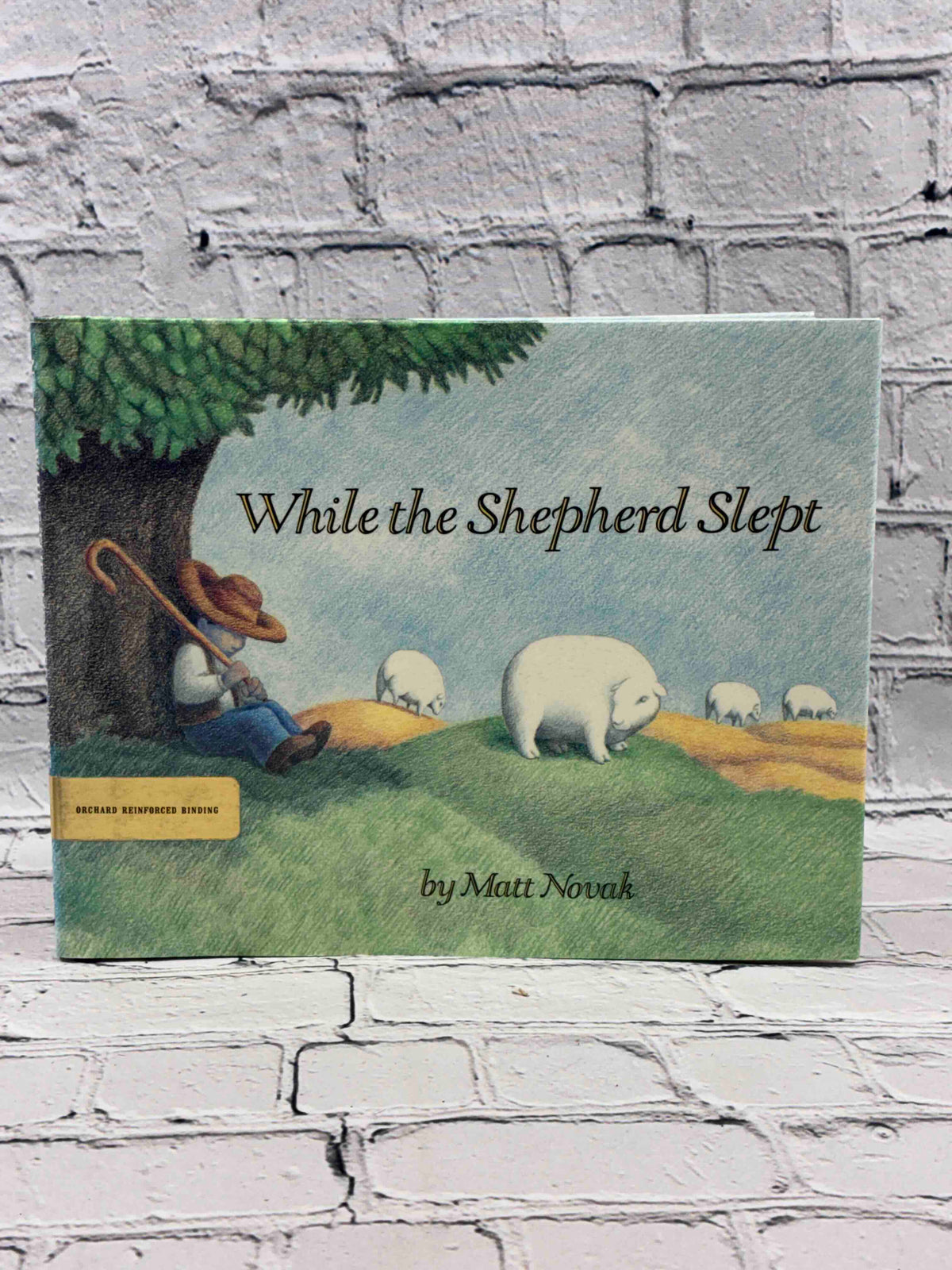 While the Shepherd Slept