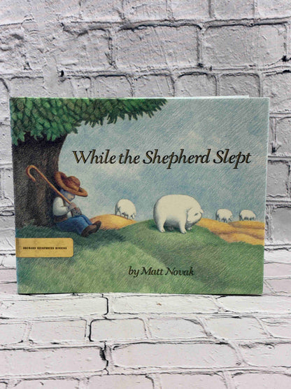 While the Shepherd Slept