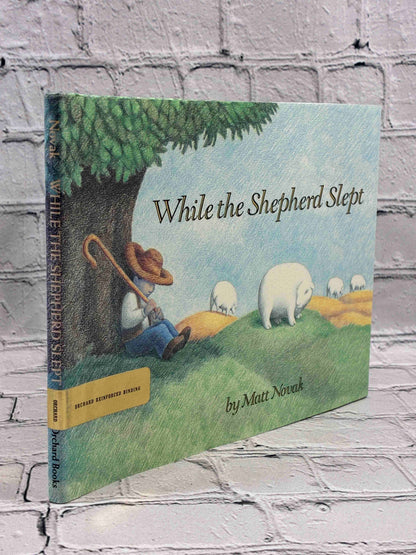 While the Shepherd Slept