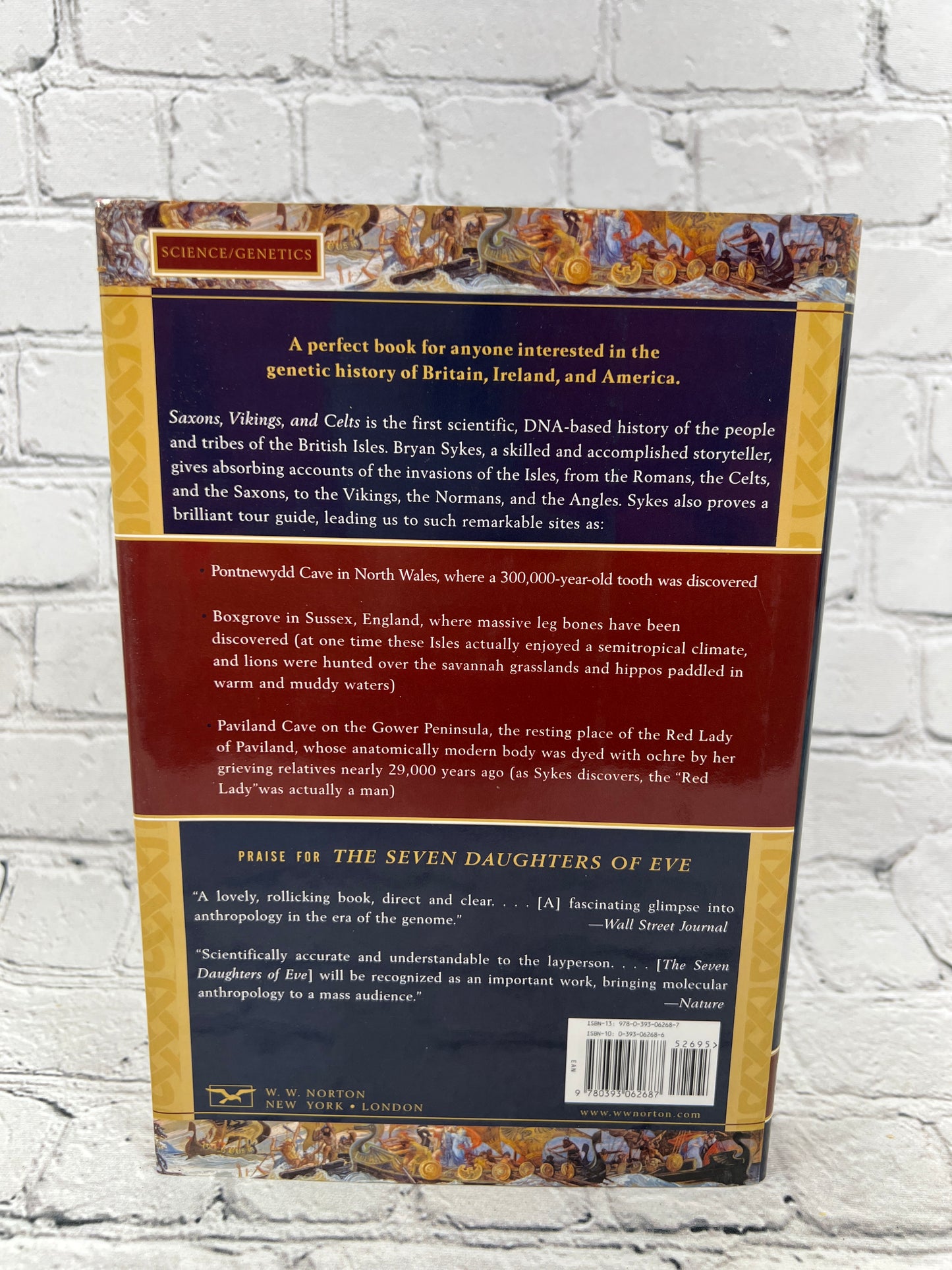 Saxons, Vikings, and Celts by Bryan Sykes [1st American Ed. · 2006]