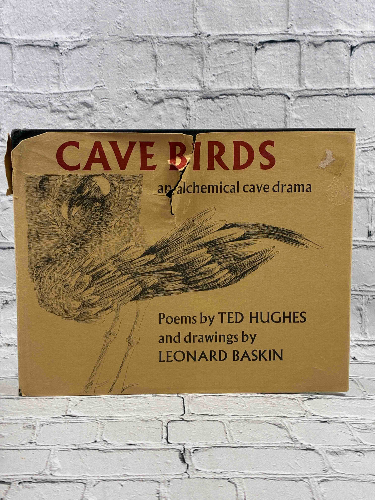 Cave Birds: An alchemical cave drama