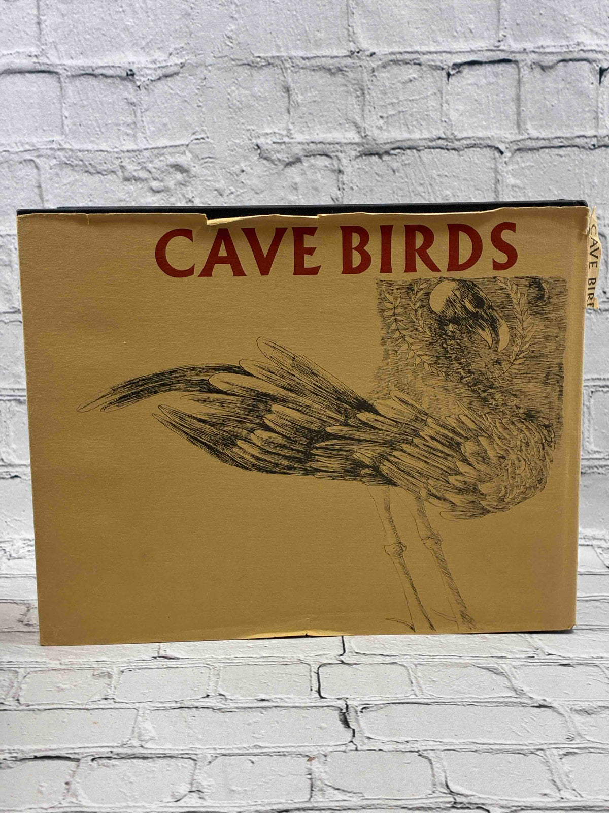 Cave Birds: An alchemical cave drama