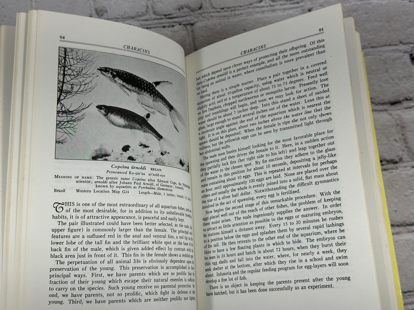 Exotic Aquarium Fishes by Dr. William T. Innes [1979]