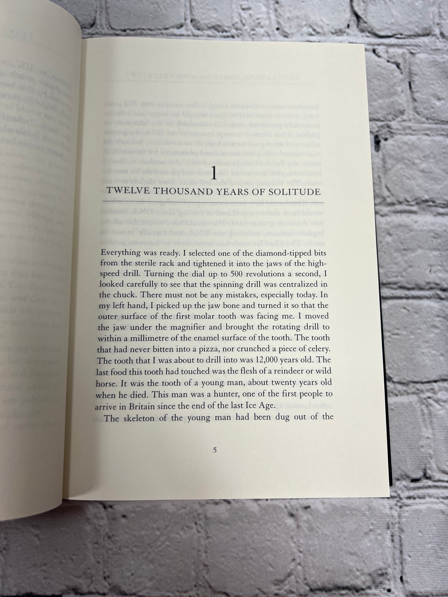 Saxons, Vikings, and Celts by Bryan Sykes [1st American Ed. · 2006]