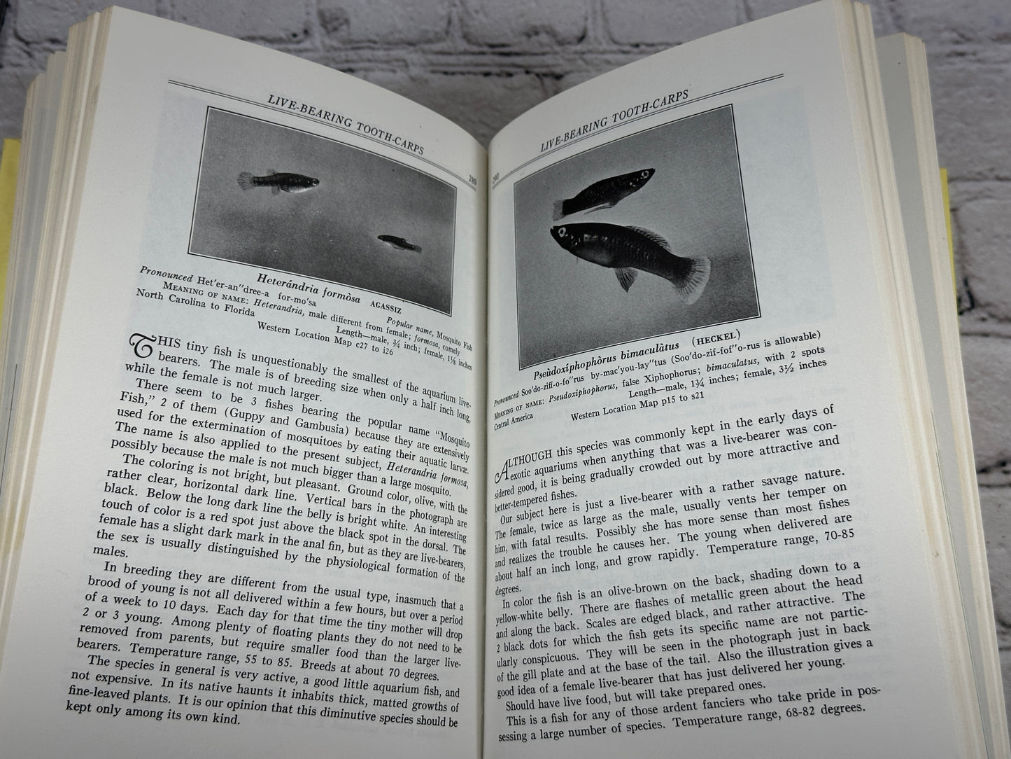 Exotic Aquarium Fishes by Dr. William T. Innes [1979]