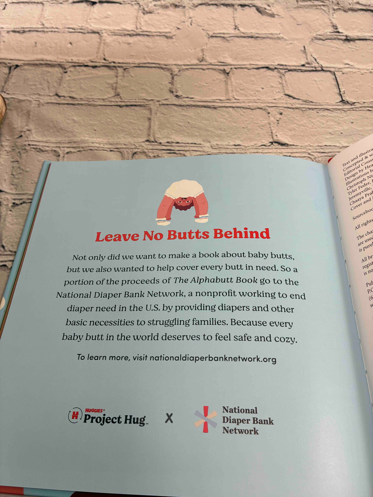 The Alphabutt Book: An ABCs of Baby Butts and Bodies