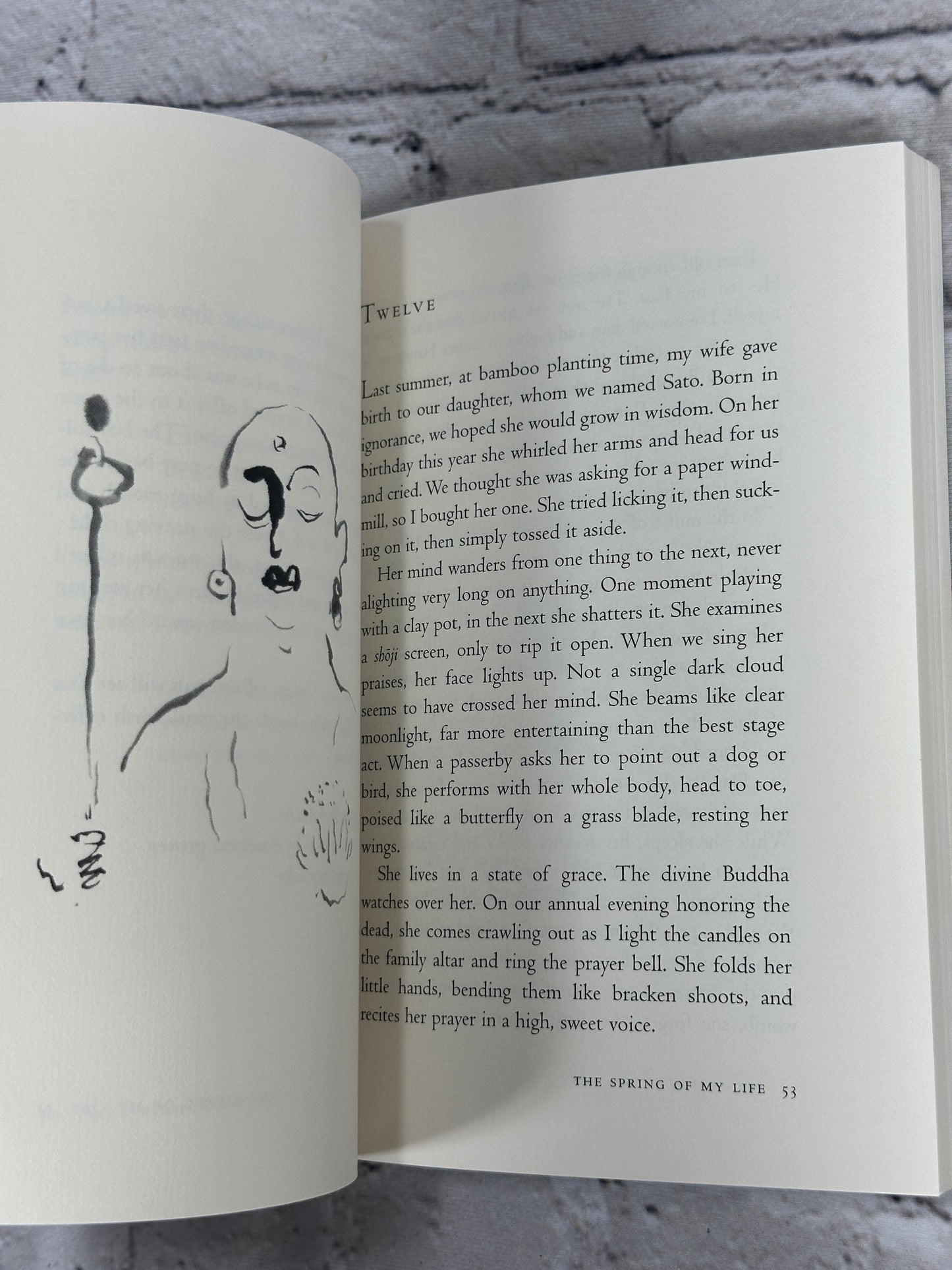 The Spring of My Life: And Selected Haiku by Kobayashi Issa [1997]