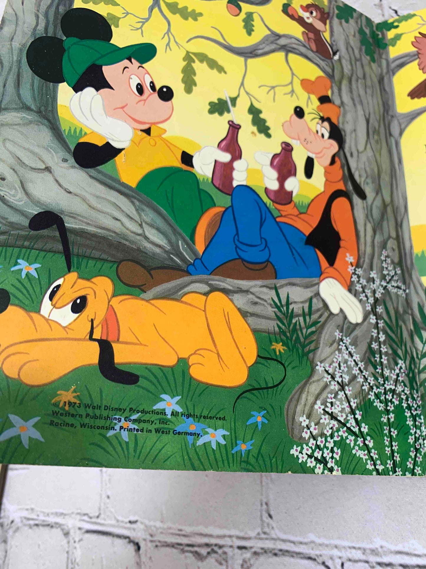 Goofy's Forest Fun