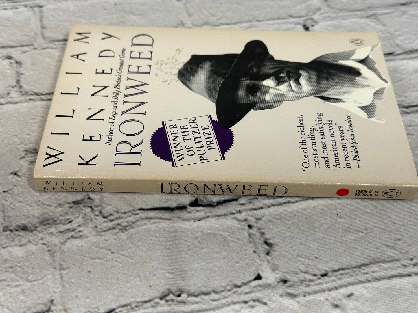 Ironweed By William Kennedy [1984]