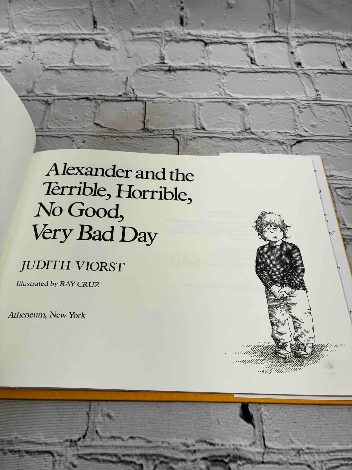 Alexander and the Terrible, Horrible, No Good, Very Bad Day